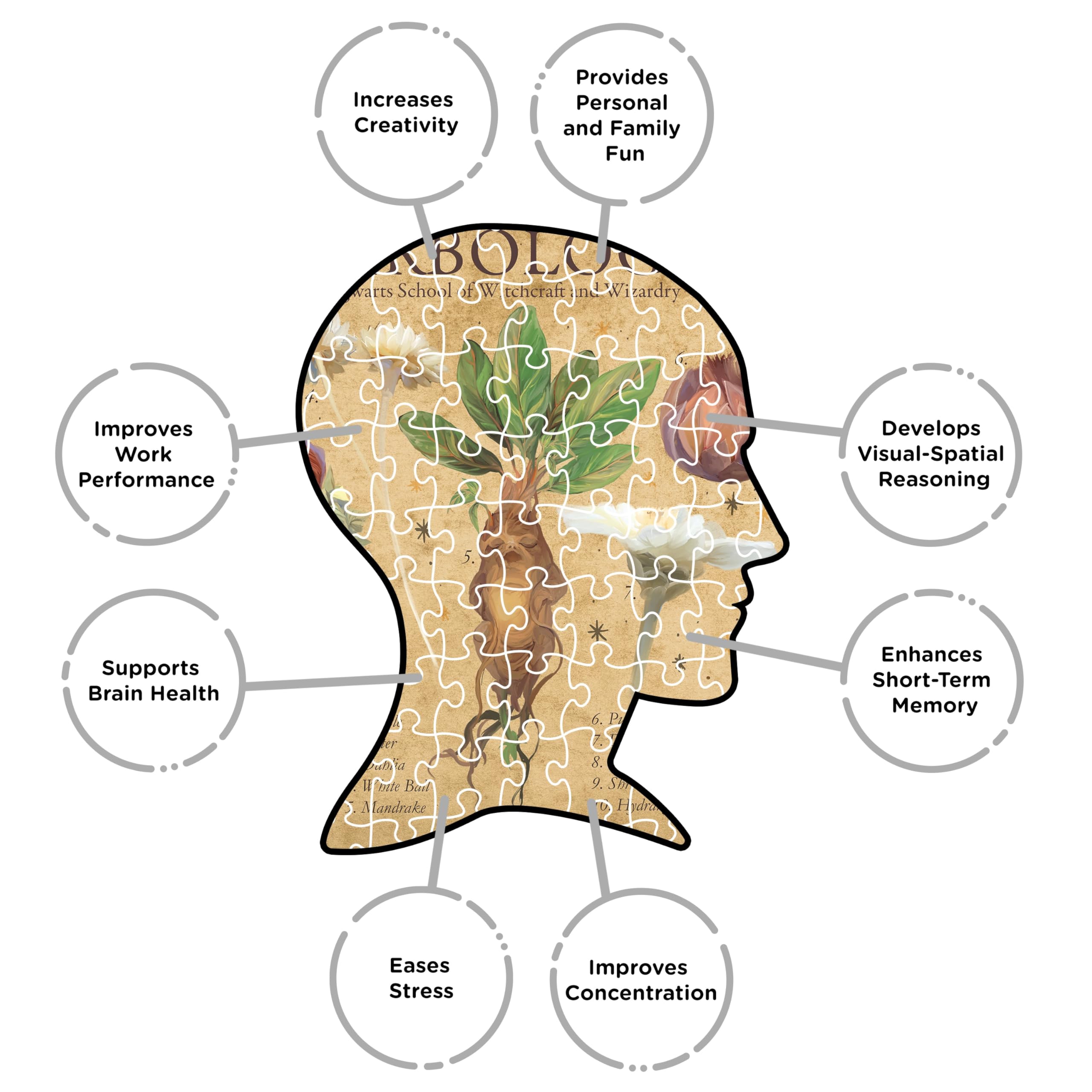 AQUARIUS Harry Potter - Herbology Puzzle (1000 sztuk)