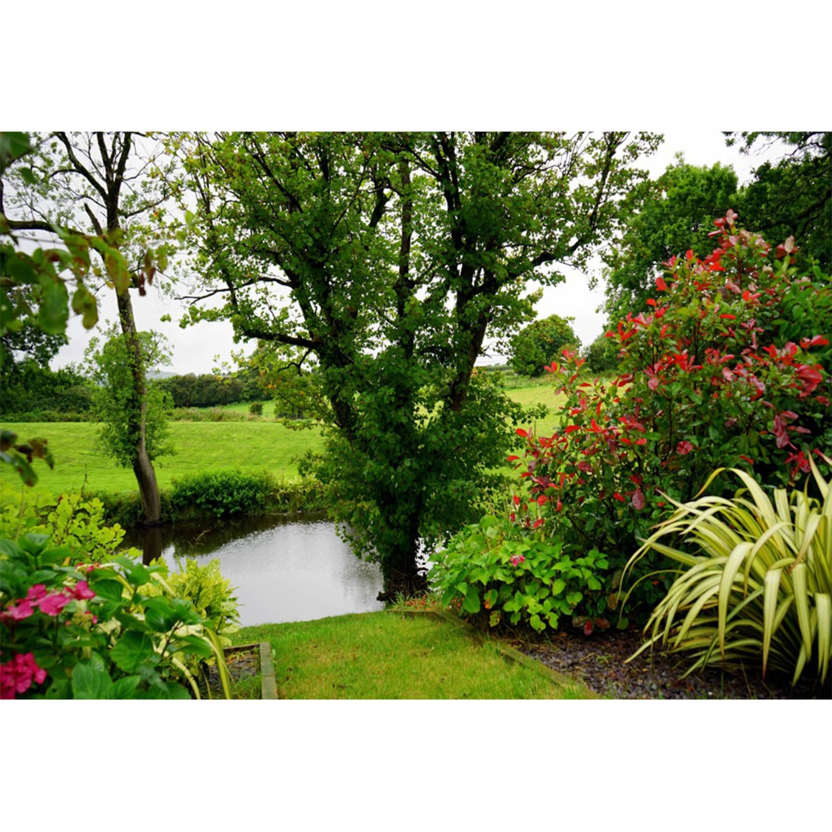 Toile de fond pour paysage printanier 3 x 2,1 m