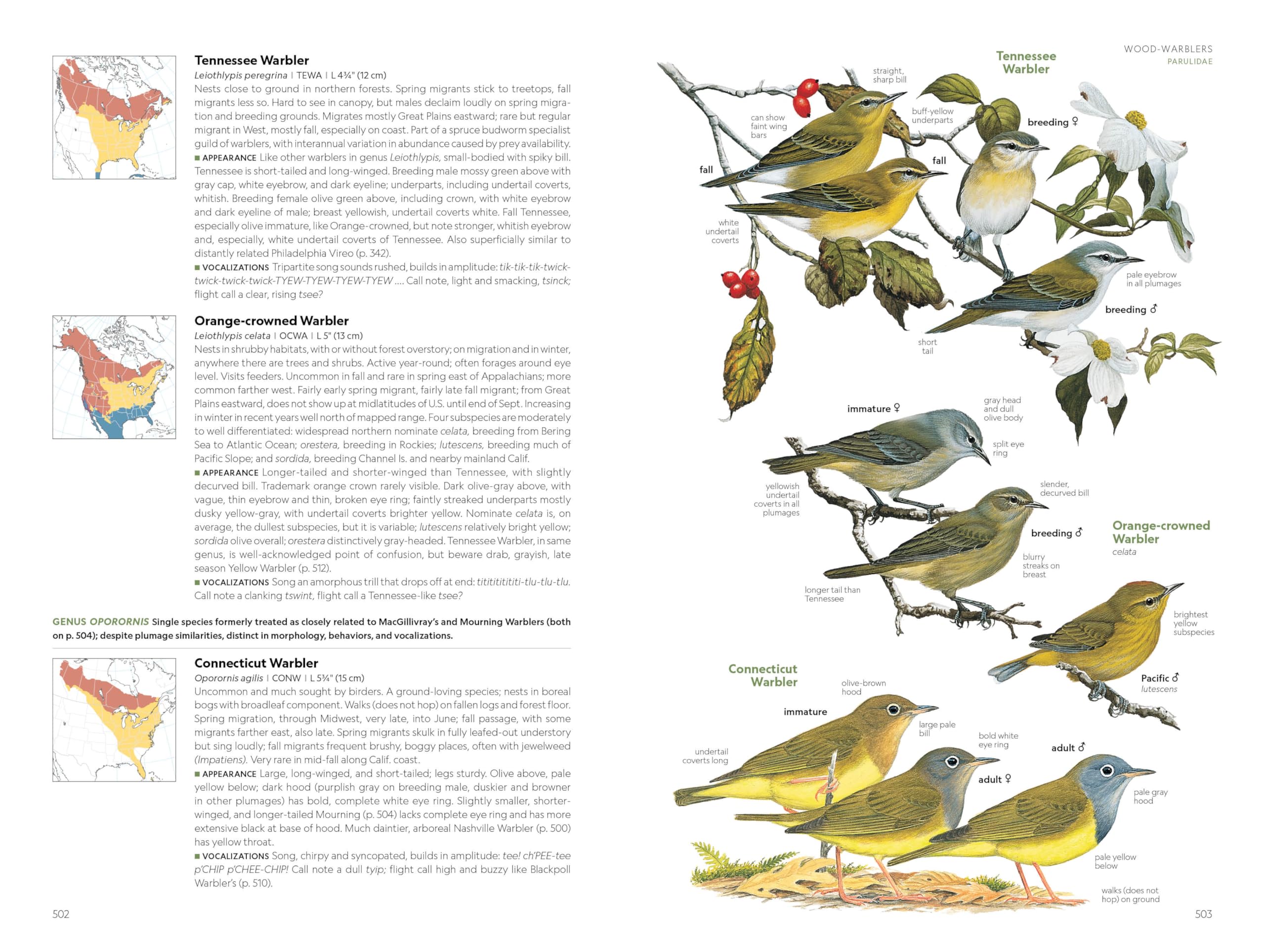 National Geographic Field Guide to the Birds of the United States and Canada, 8th edition