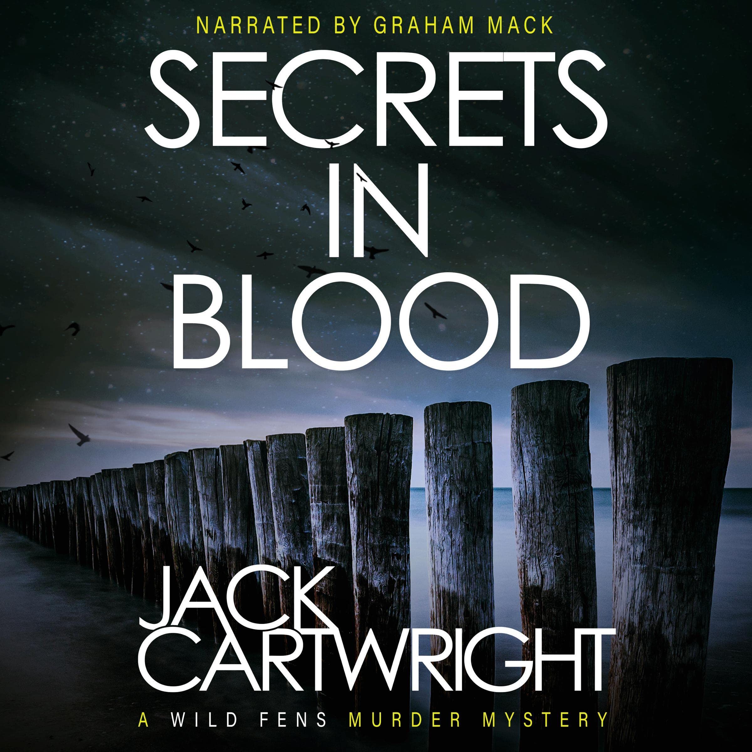 Cover art for Secrets in Blood