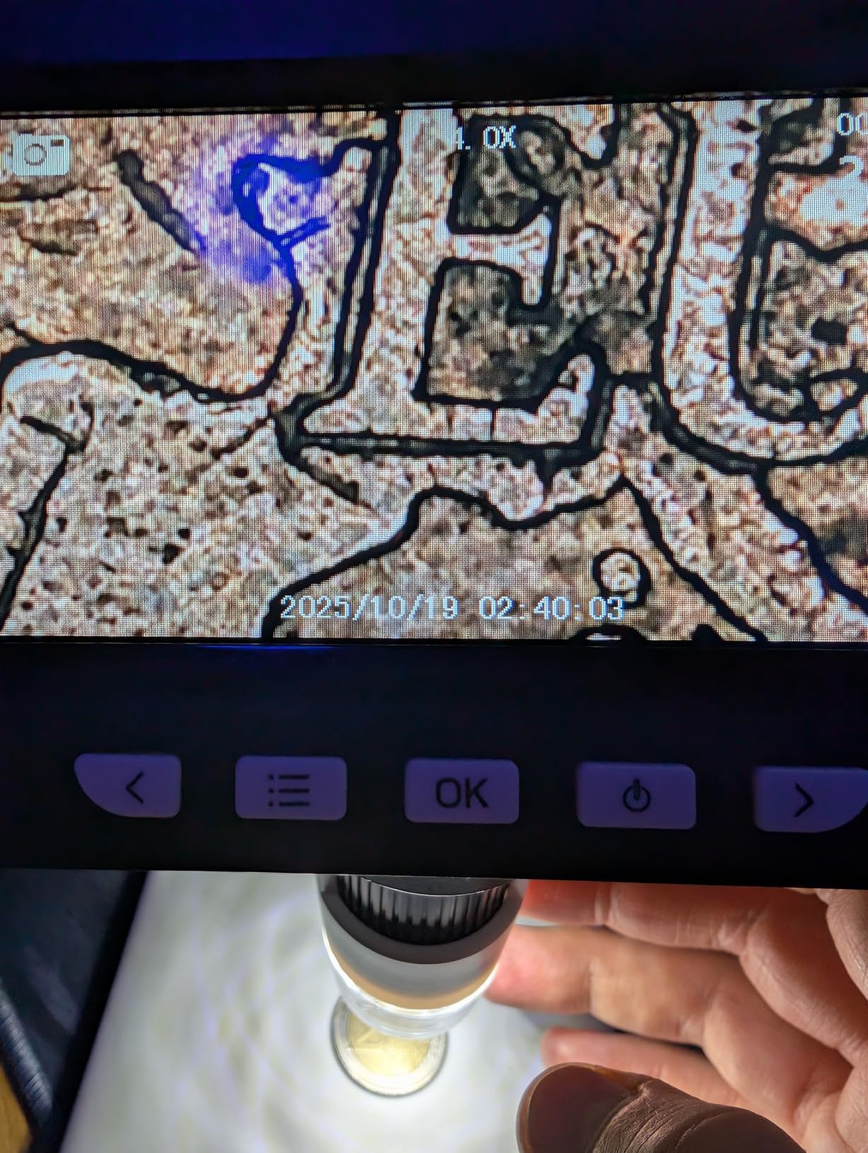 Microscope Numérique 4.3'' USB - 1000X 1080P - 8 LED - Rechargeable - Vue PC