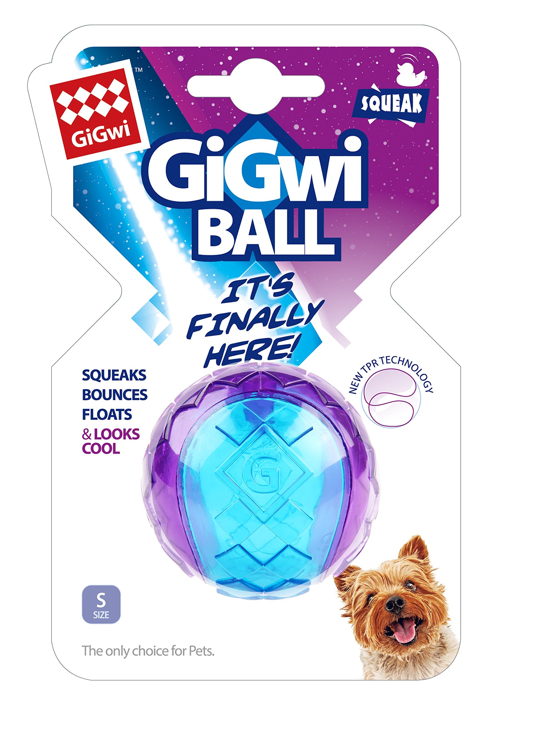 GiGwi Squeaky Dog Ball for Fetch & Play, High Bounce, Floats, Durable Non-Toxic Rubber Balls for Dogs, Gentle on Teeth & Gums, Dog Toy Suitable for Puppies & Small Breeds, Purple, Small