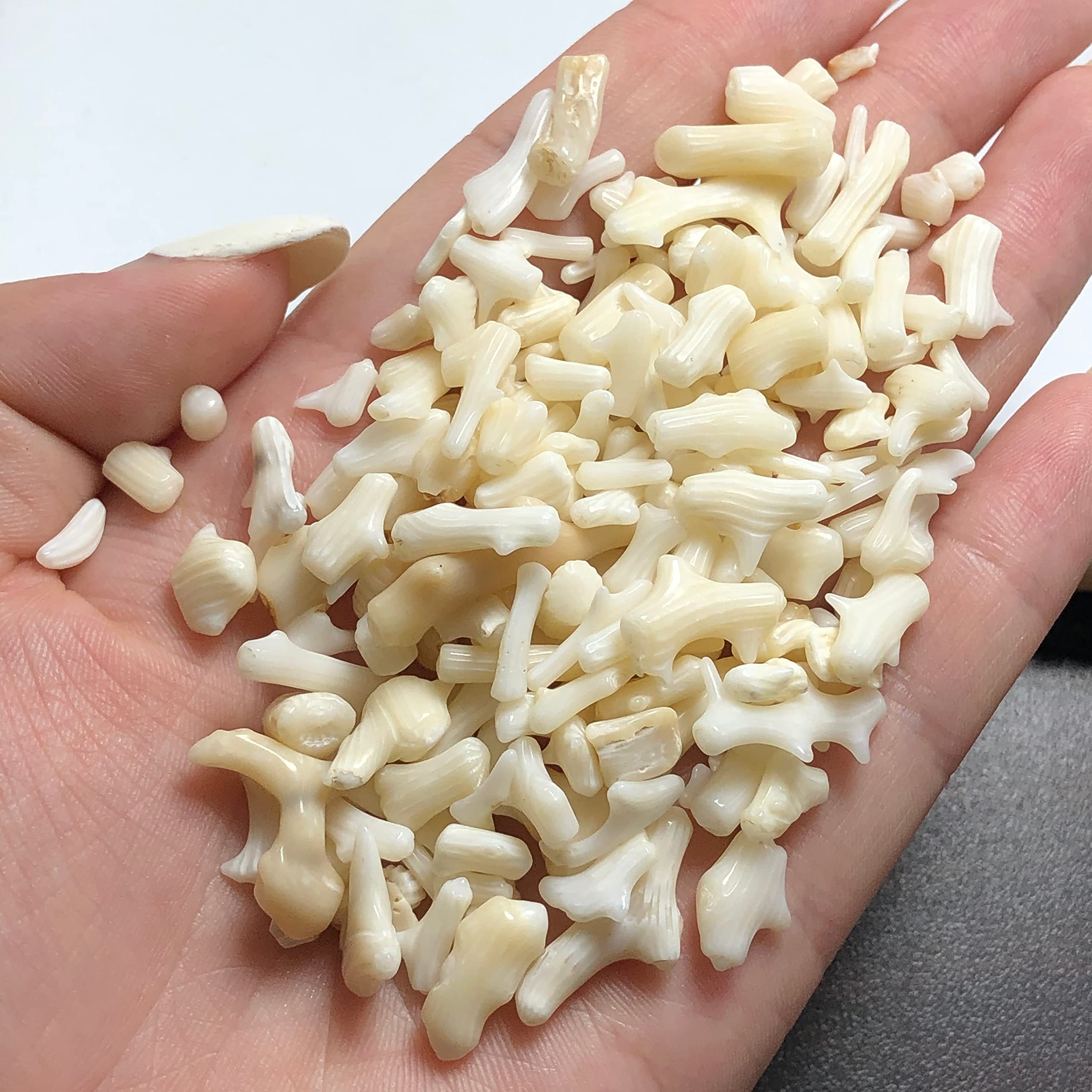 SDWGLD Gema curativa Natural Blanco Coral Grava Acuario jardinería Adornos decoración del hogar Puede ser Utilizado para la decoración de la ofici (Color : 50g)
