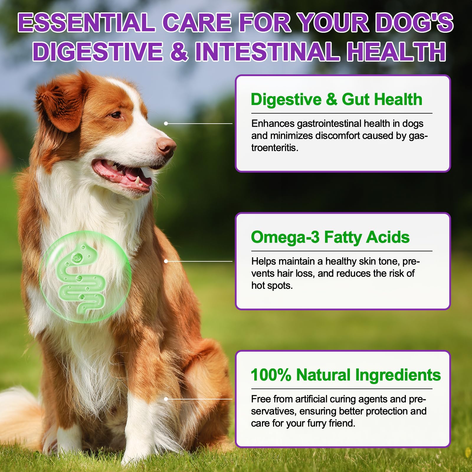 Dog Allergy Relief Treats, 150pcs Alivio de la alergia en Perros, Masticable para Fortalecer el Sistema inmunitario, Elimina la picazón, el lamido y el rascado, Alergias estacionales
