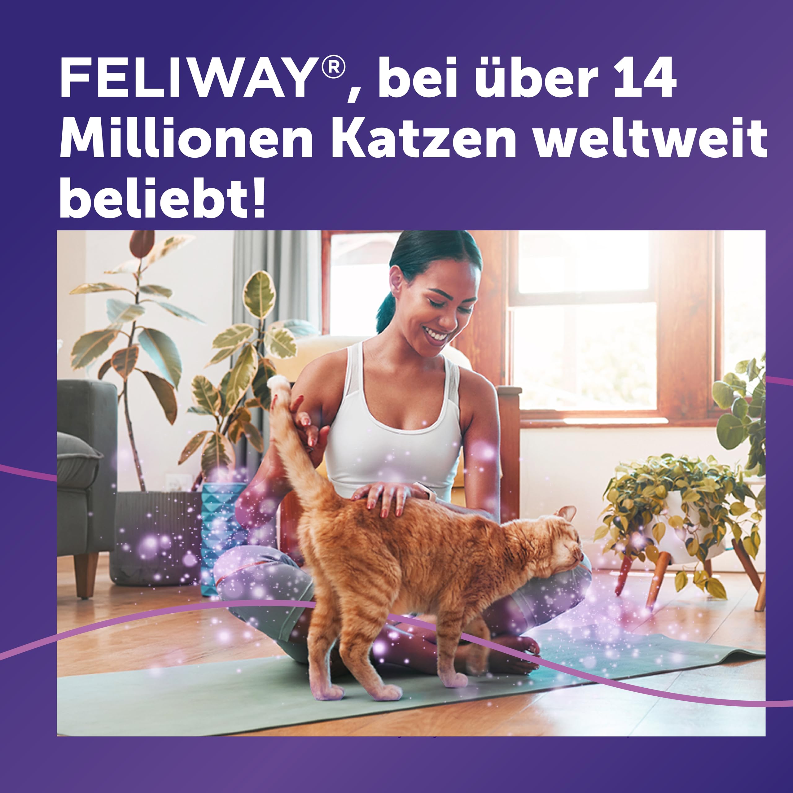 FELIWAY Classic 3x30 Tage Vorteilspack für Pheromon Verdampfer, 3x48ml - Hilft Anzeichen von Stress bei Katzen und Kitten zu reduzieren, von Tierärzten empfohlen, klinisch getestet