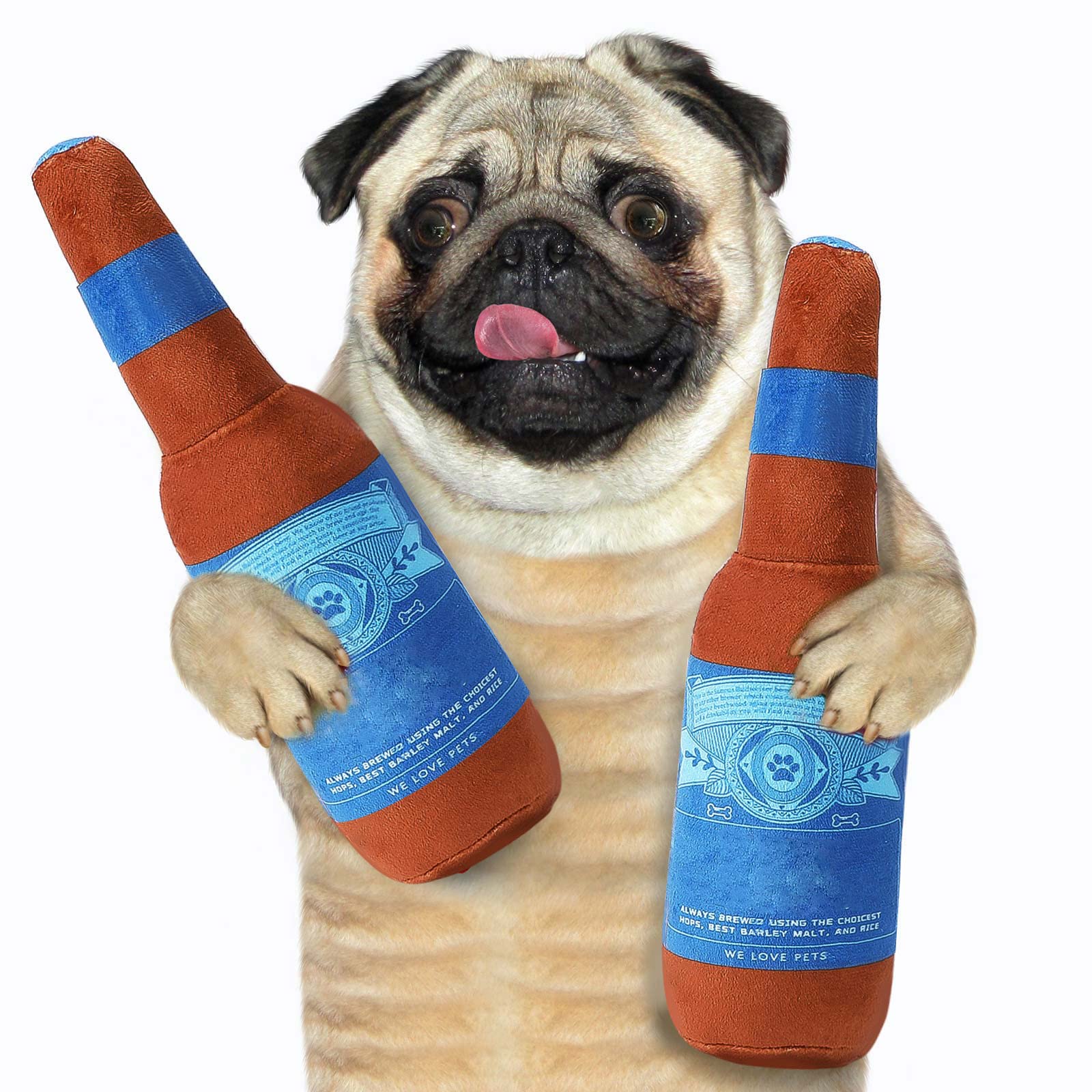 Are Hops Safe Around Dogs