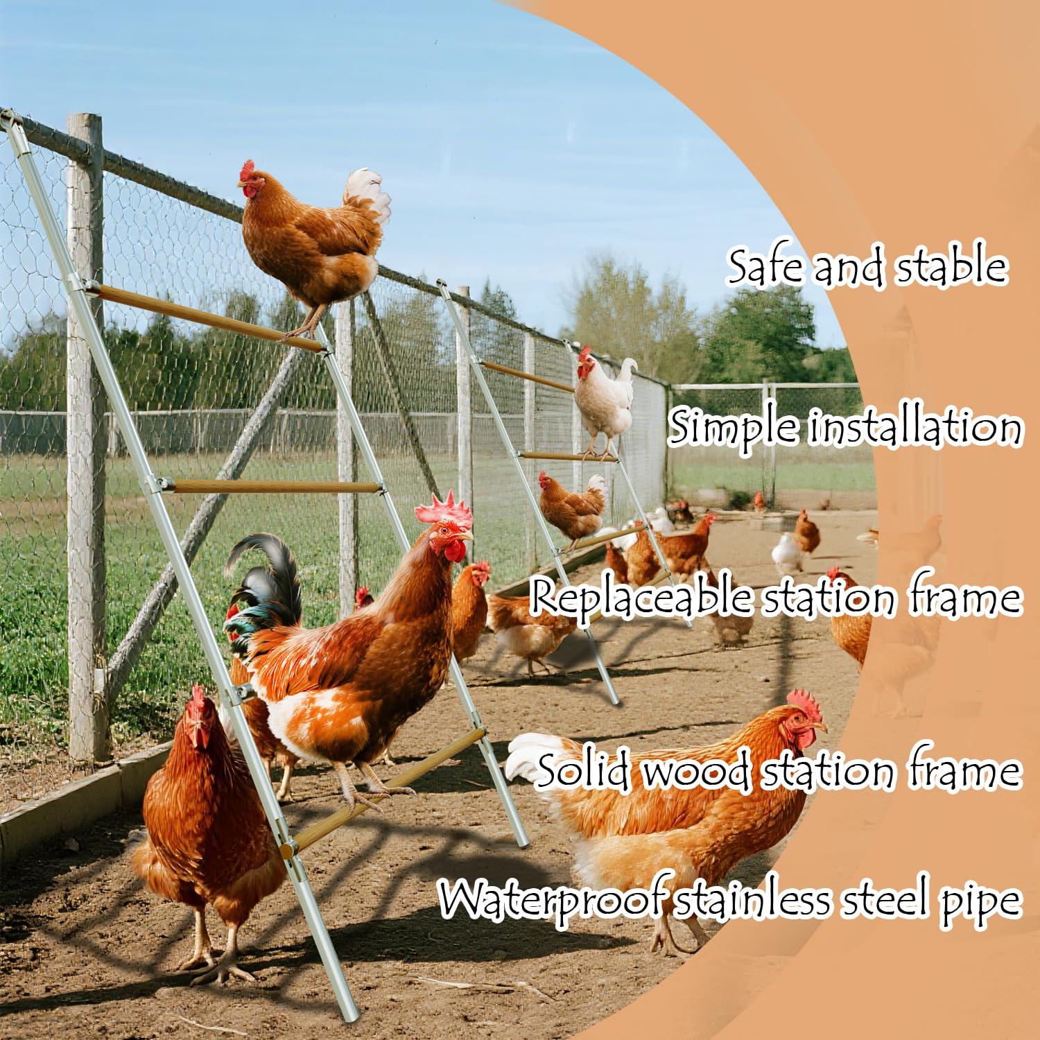 Escalera de asiento para gallinas de madera, escalera para gallinas, para gallinas, para 6 – 10 gallinas, 130 x 100 x 2,5 cm, madera natural (4 niveles, escalera de gallinas)