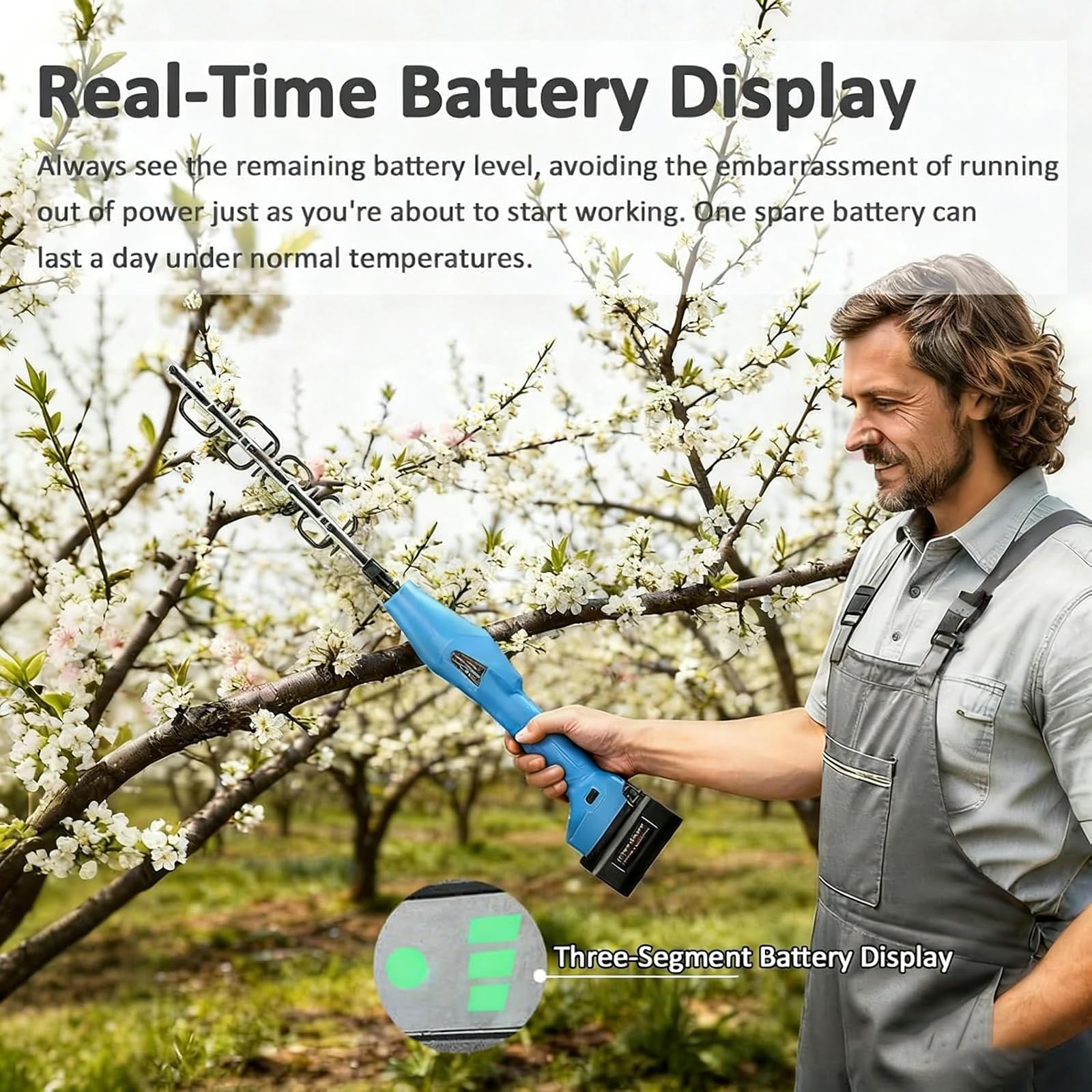 Strumento senza fili per sfoltire alberi da frutto, velocità regolabile, design reversibile, include 2 batterie, ideale per boccioli e fiori di pesco, prugna e ciliegio
