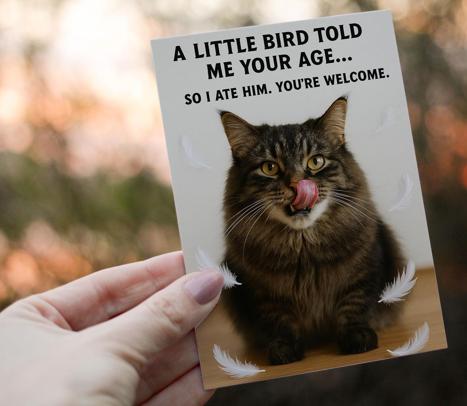 Funny Birthday Cards for Women, Men, Him, Her - Folded Card 5"x7", 350gsm Cardstock with Sticker, Envelope - Humorous Unique Gift Cat Lover for 30th, 40th, 50th, 60th, 70th, 80th, 90th, 100th - Image 7