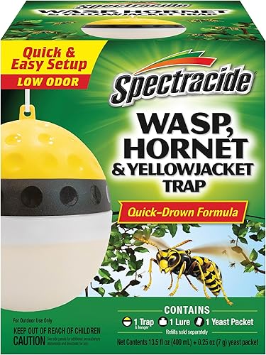 Miniatura 9 de Spectracide Wasp & Hornet 3, paquete de 12, asesino de insectos de 18.5 onzas