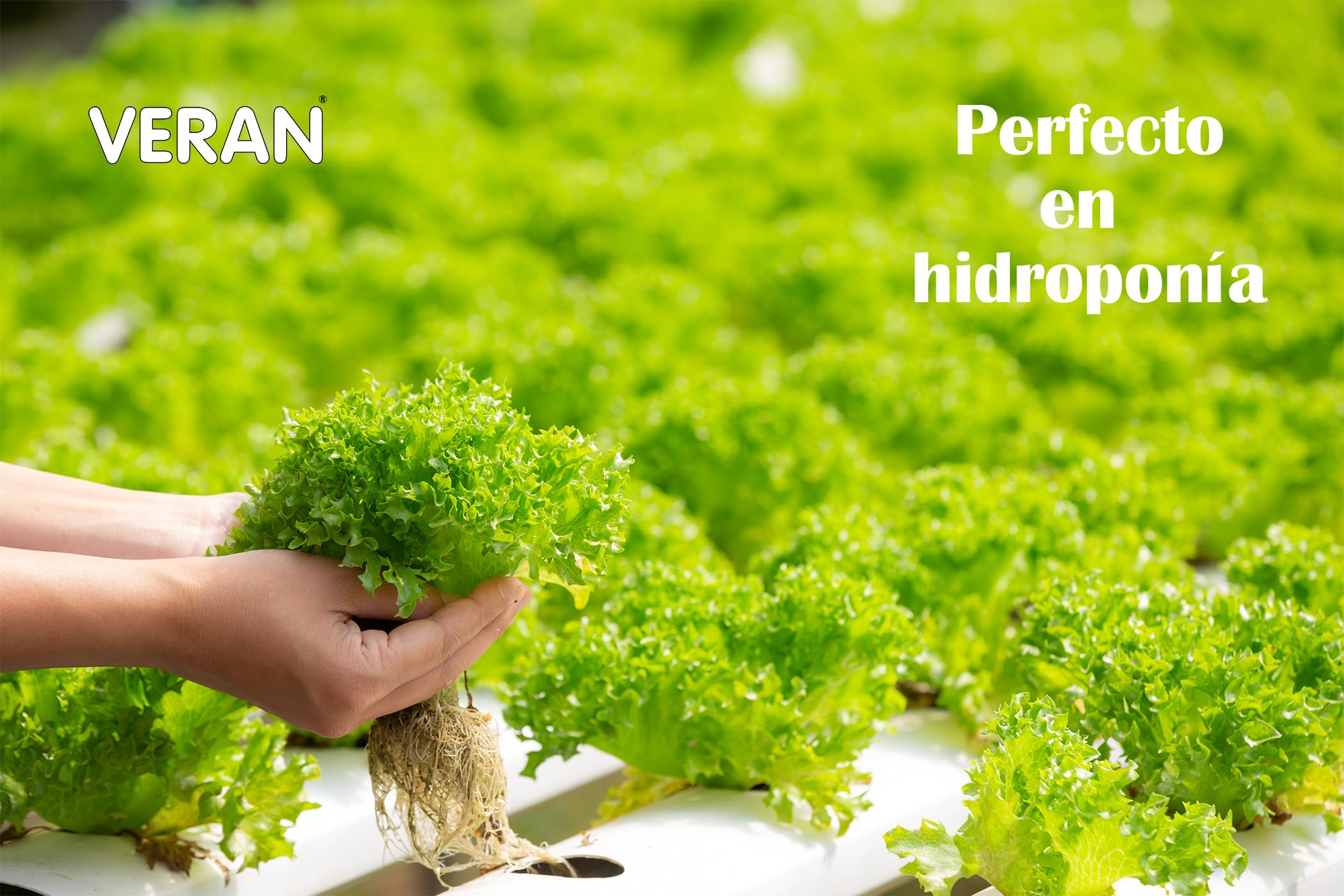 VERAN Fertilizante de Nitrógeno y Fósforo para Flores, Cítricos y Huerto 1Kg | NP 12-61 | Estimula el Crecimiento, Floración y Cuajado | Hidrosoluble | Abono de Nitrógeno y Fosforo también Foliar