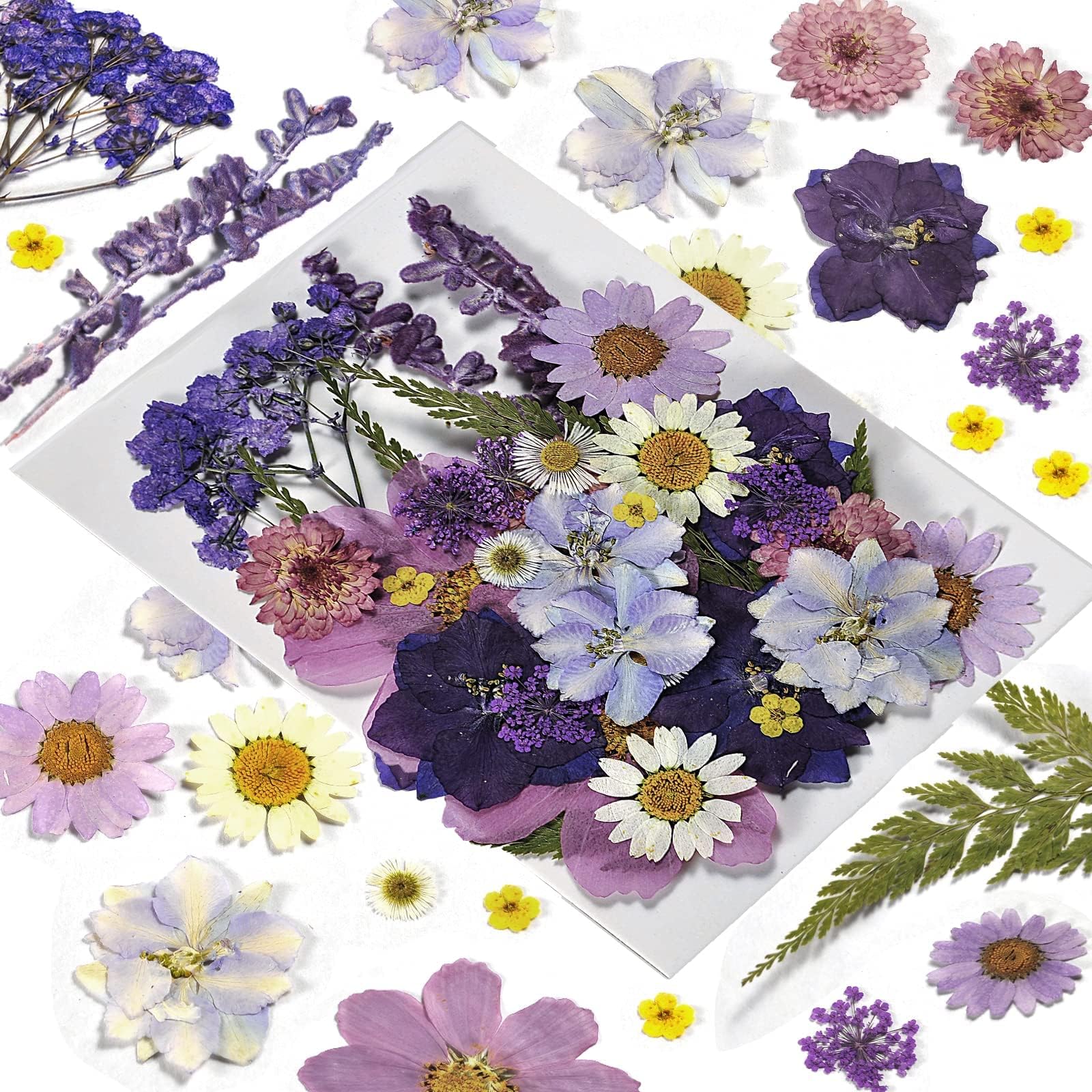 Pressed Flowers Purple 33 Pcs of 12 Types