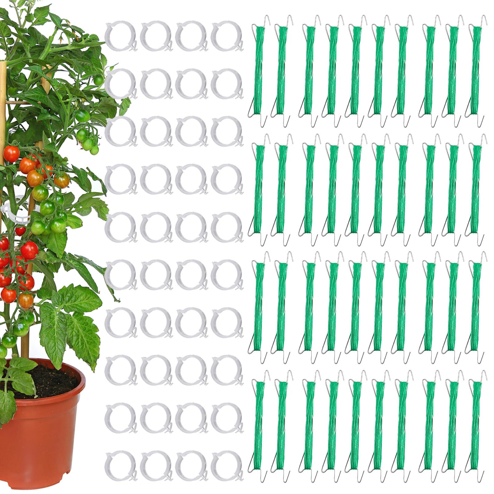 Ganci per pomodori - Ganci da giardino per piante rampicanti - 40 pezzi con pinze per steli per urbano giardino e