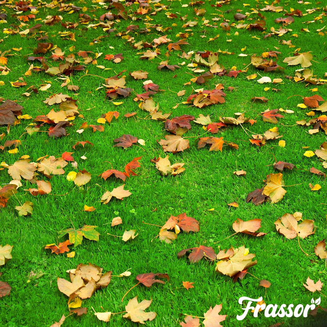 Herbst-Rasendünger All-in-One Granulat - 20kg - NPK 6-3-12 + 3MgO