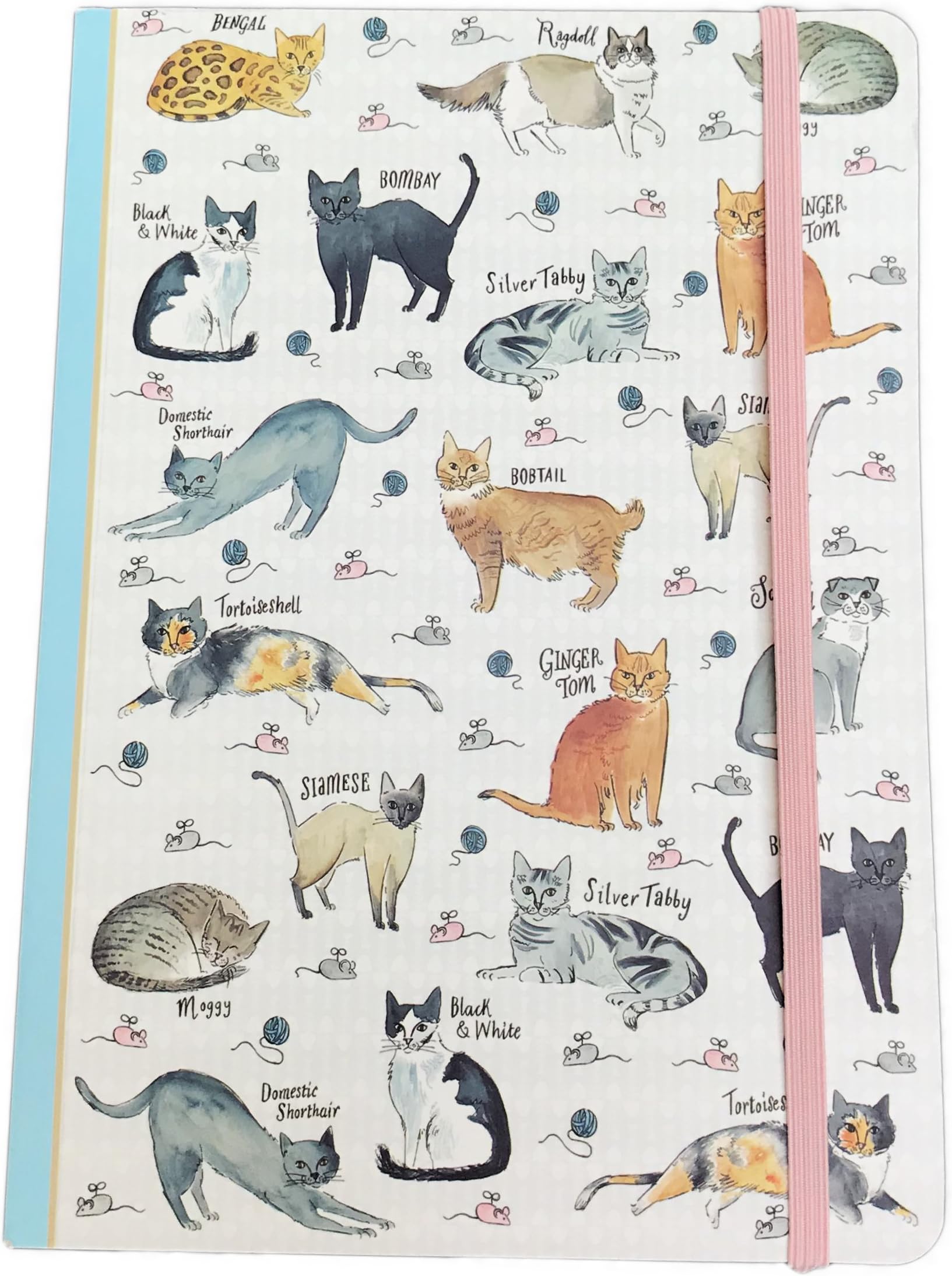 Curious Cats Notebook A5 Softbound