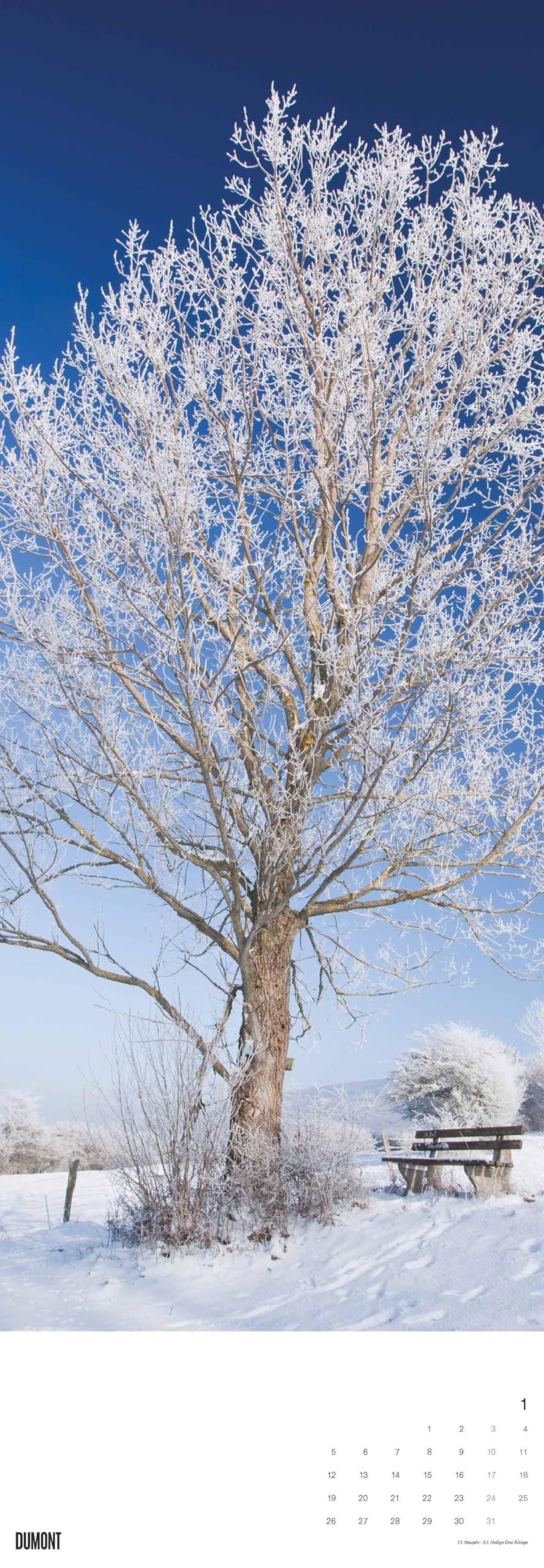DUMONT - Alberi 2026 – Calendario da parete King-Size 34×98 cm con 12 fotografie di alberi di tutto il mondo, calendario della natura per gli amanti della natura e degli alberi: Trees