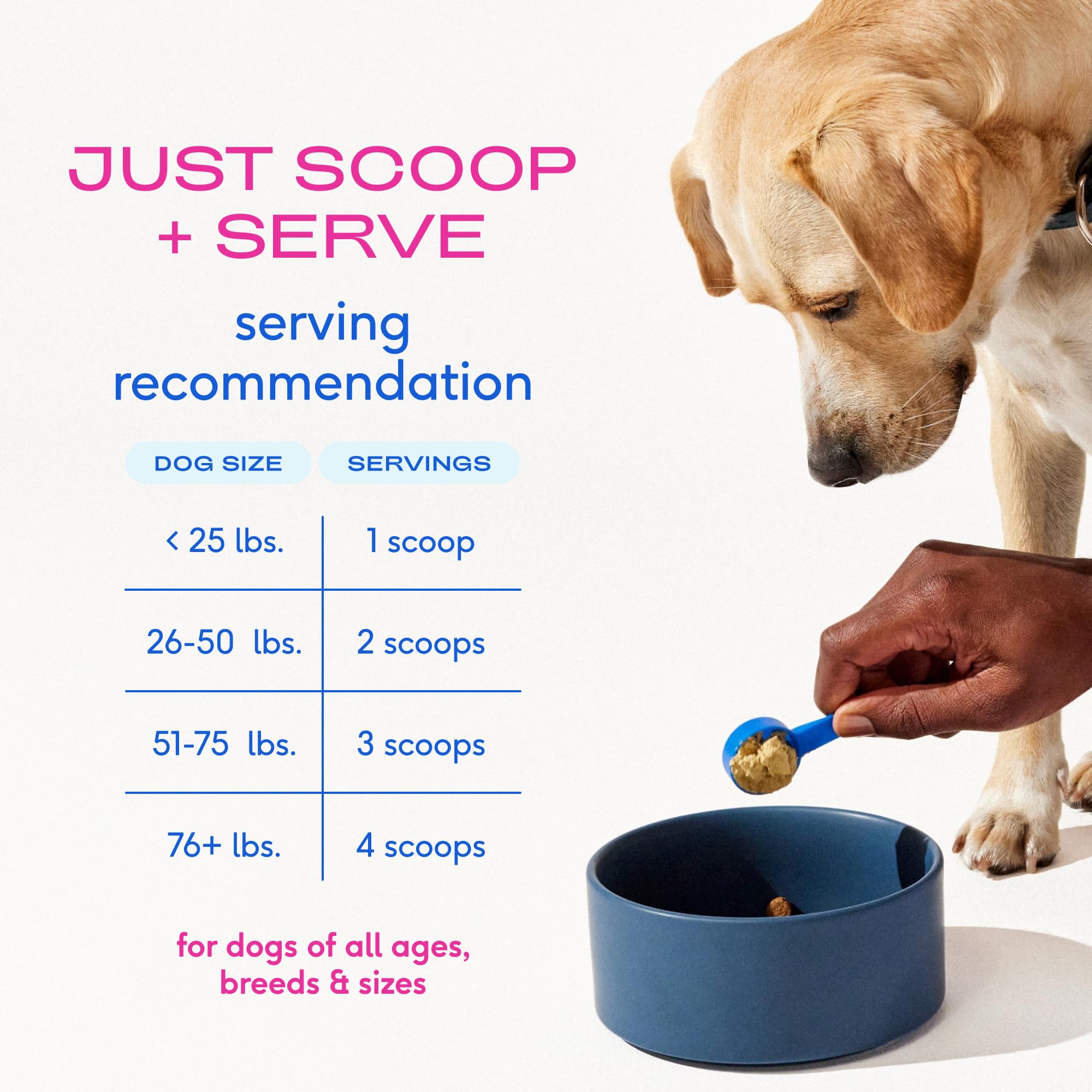 Native Pet Hip & Joint Advanced Care Dog Joint Supplement Powder for Mobility & Movement Support, Joint Supplement for Dogs with HMB, UC-II Collagen, Green Lipped Mussel & Hyaluronic Acid – 30 Scoops - image 7