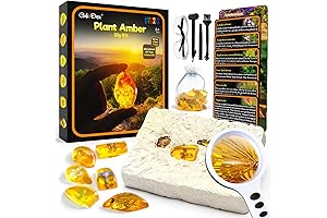 GobiDex Plant Amber Dig Kit: Where Archaeology and Science Combine!
