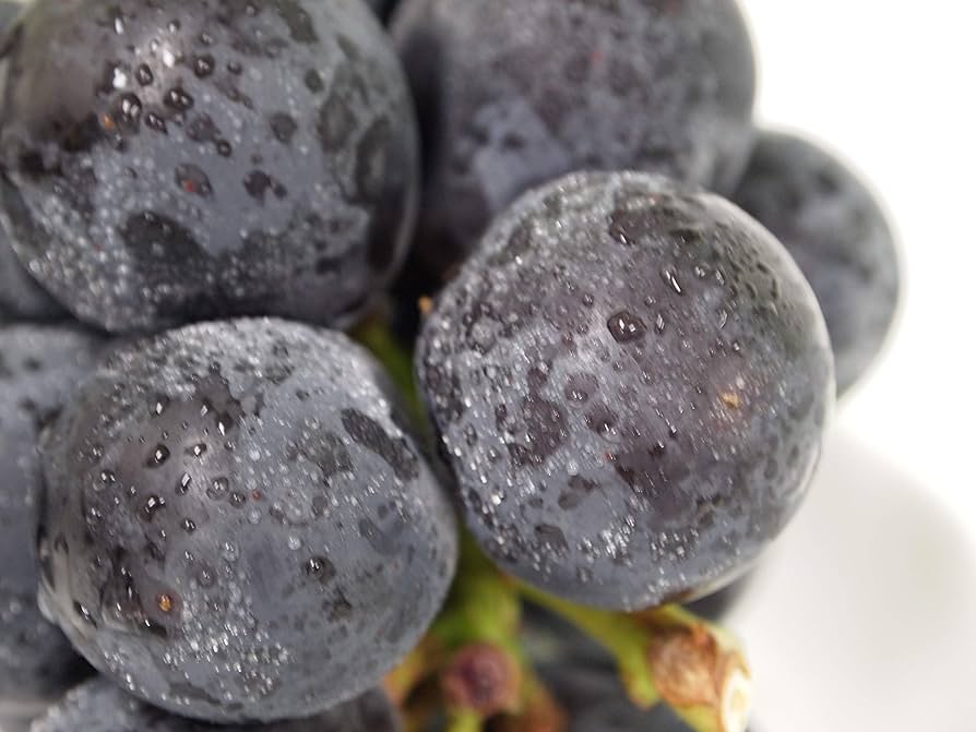 さんぼ　クール便　ピオーネ4房　粒2キロ Amazon.co.jp: 三次ピオーネ 広島産 4房 2kg クール便