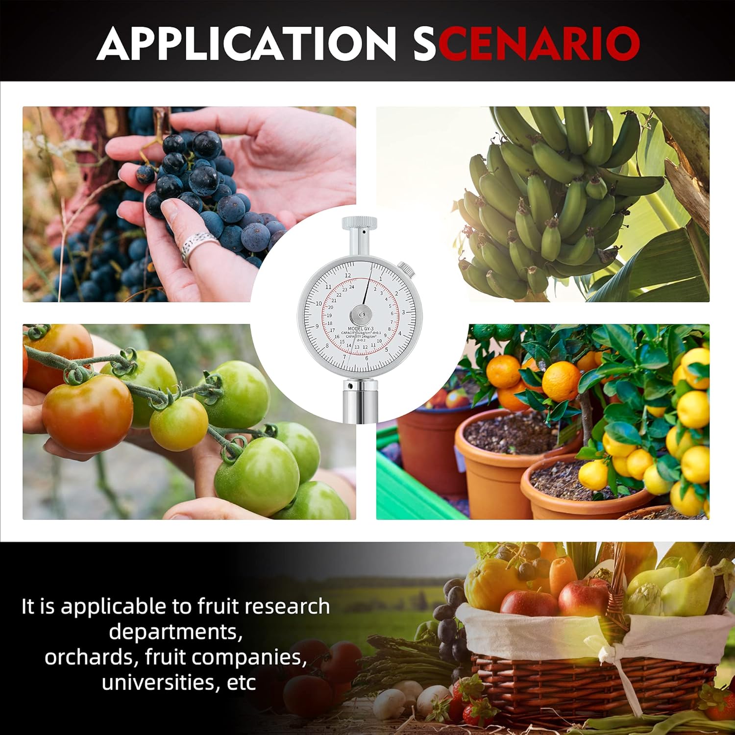 Free Shipping 🛒 NEWTRY GY-3 Fruit Firmness Penetrometer Sclerometer Fruit Hardness Tester for Determining The Maturity Level of Fruit (GY-3)