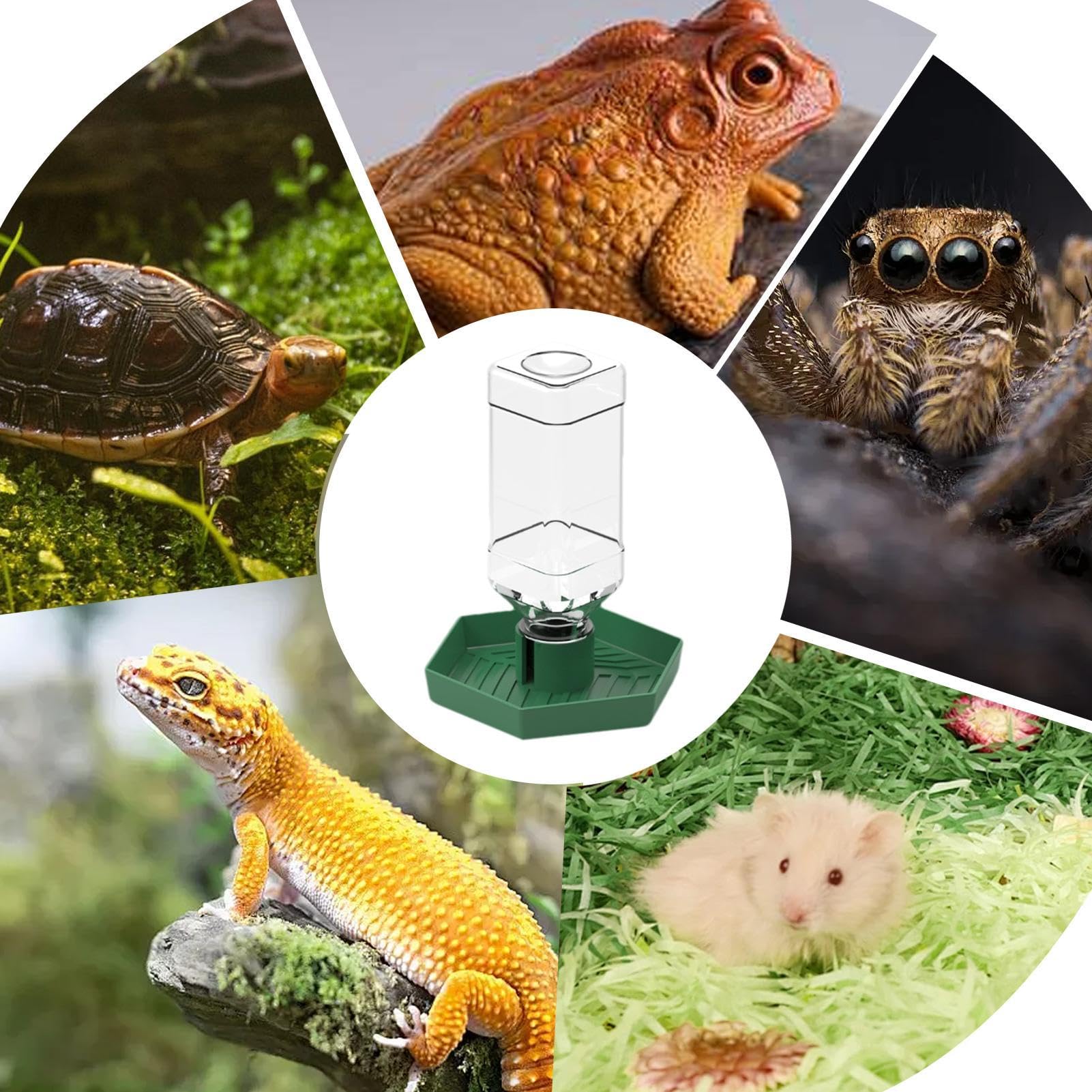 Dispenser Acqua Automatico Per Rettili E Tartarughe - Serbatoio Con Bottiglia, Per Terrario E Acquario - Foto 6