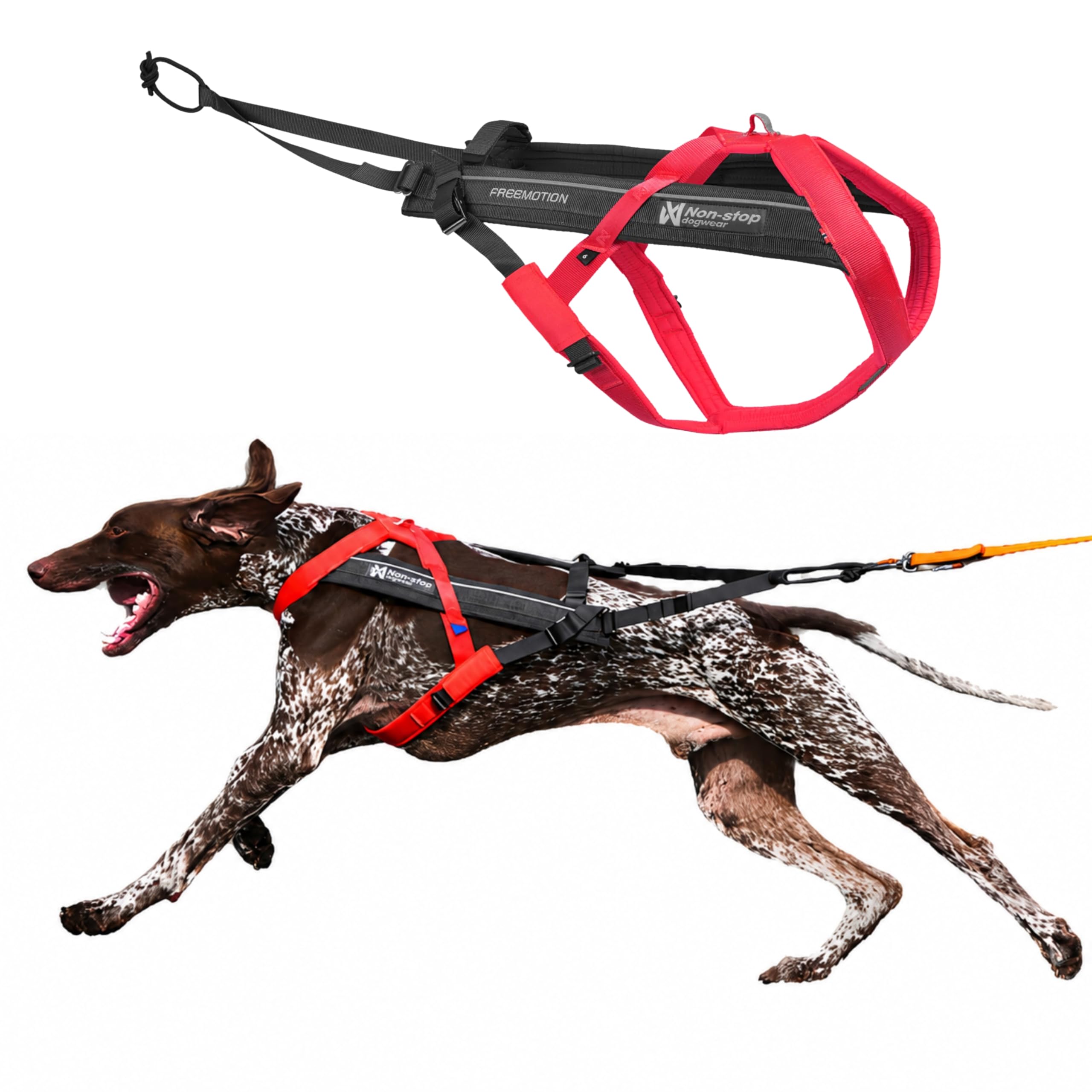 Non-Stop dogwear FREEMOTION Arnés 5.0 |111| Arnés para perros para todos los deportes, talla: 4
