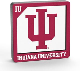 YouTheFan NCAA 3D Logo Series Magnet