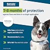Seresto Flea and Tick Control Collar For Small Dogs Up To 8kg (1 Collar), Long-Lasting & Simple Treatment For Dogs, 7-8 Months Of Protection, Keeps Pets Protected From Fleas & Ticks