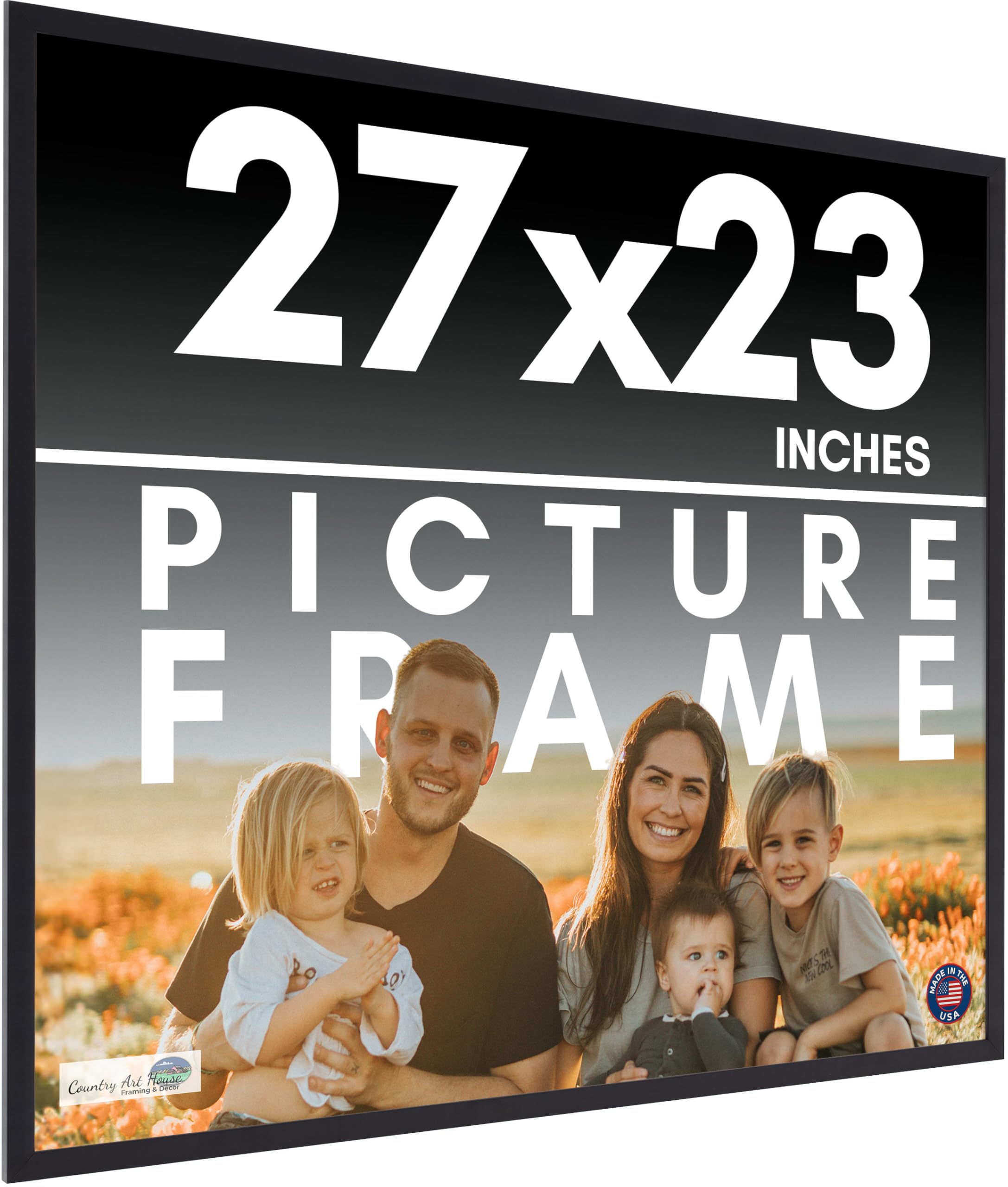 Amazon.com - 27x23 Frame Black Picture Frame - Complete Modern