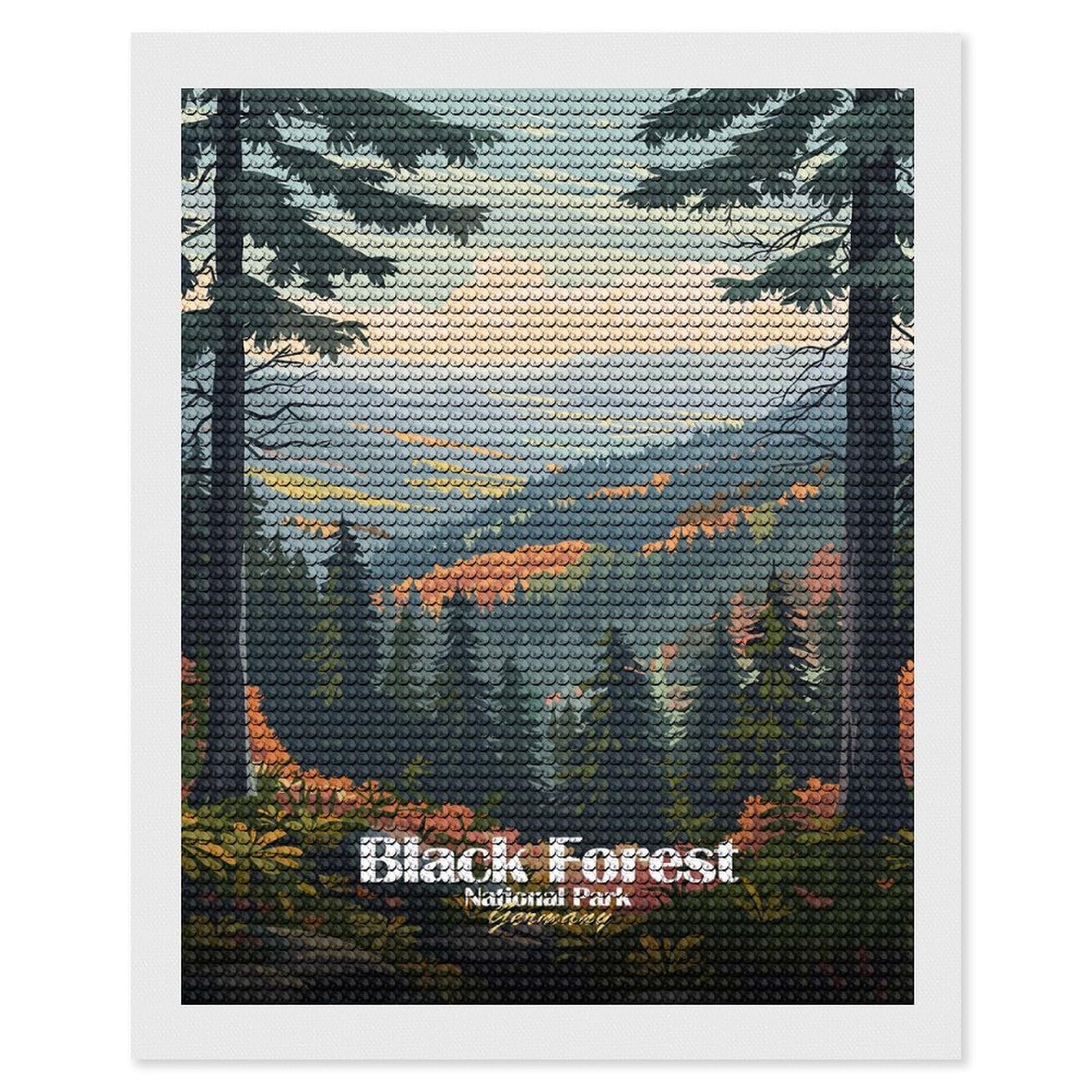 Junmoney Black Forest National Park Germany Diamond Art Canvas 16"x20", for Adults, Printed Canvas, Home Wall Decor, Gift Idea, Mindful Craft Activity