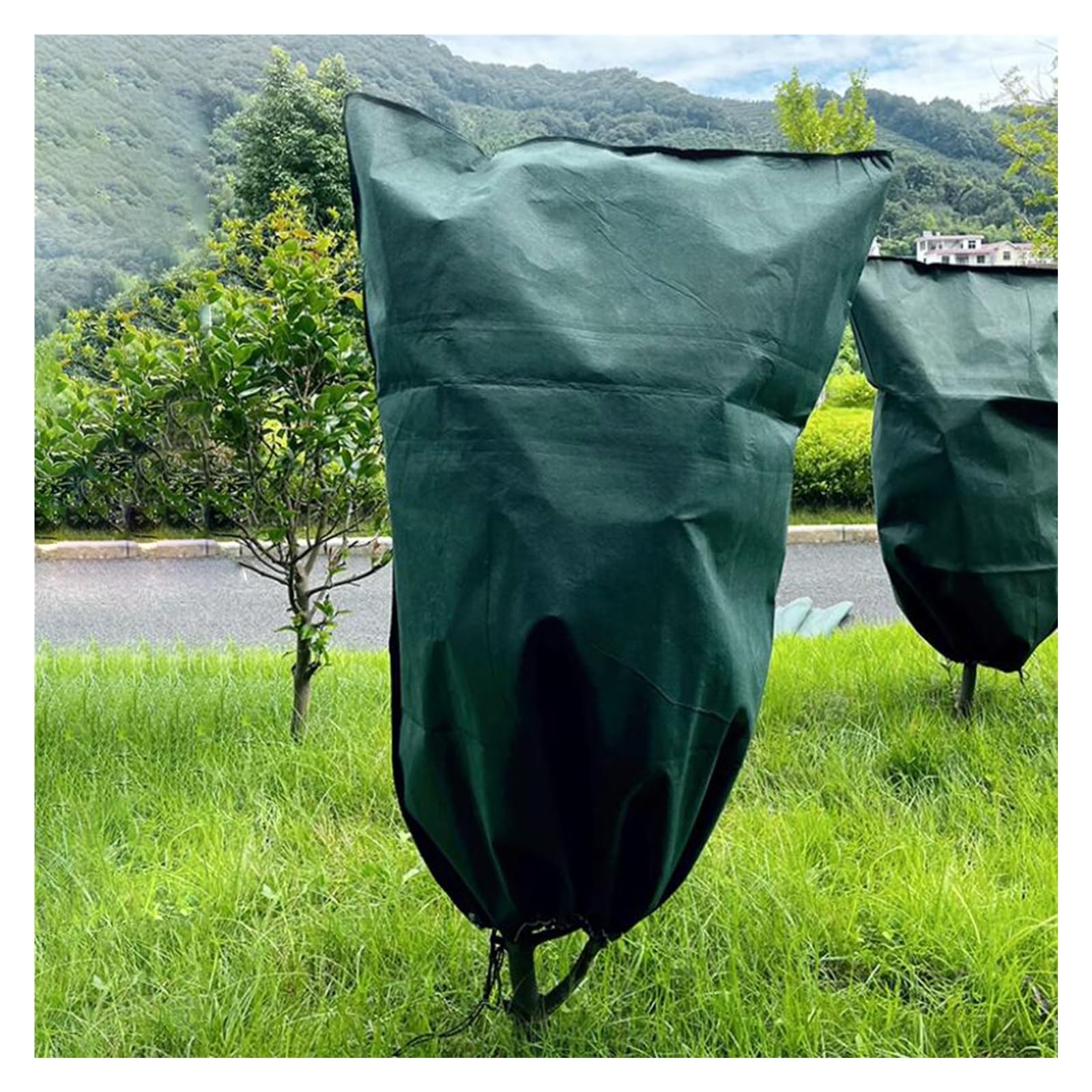 Fundas para plantas para protección de invierno, bolsas grandes para cubrir árboles con cordón para plantas y arbustos al aire libre