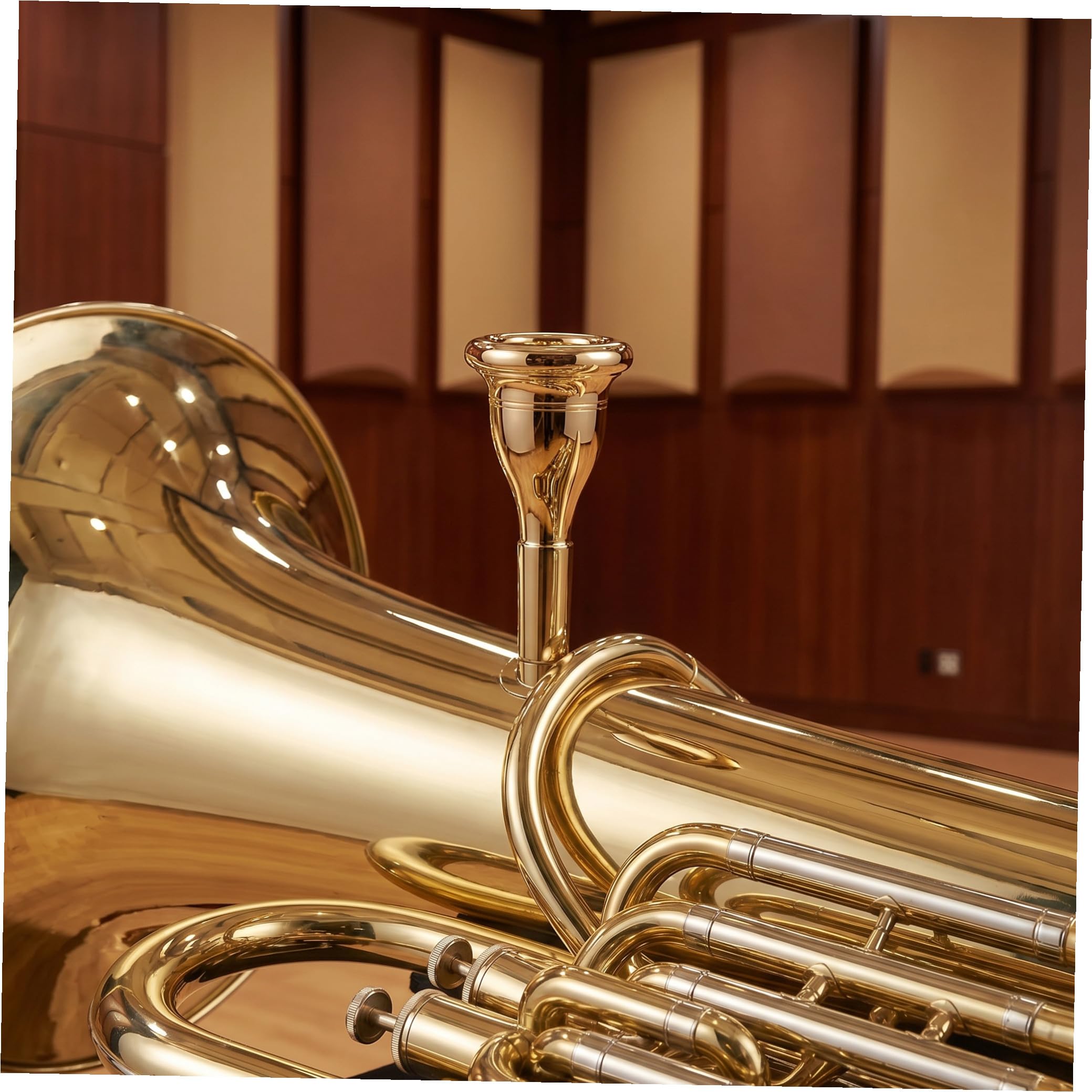 Musikinstrument Tuba Mundstück 13,3mm Messing Ersatzteil mit Cnc Galvanisierter Oberfläche für Blasinstrument Spieler