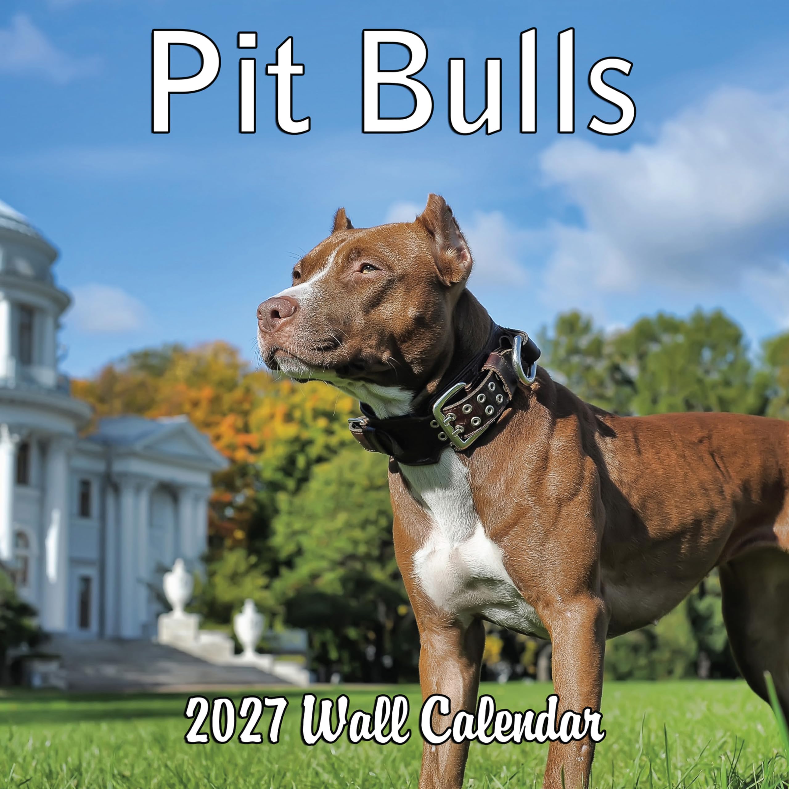 2026 Pit Bulls Monthly Hangable Wall Calendar | 12" x 24" | September 2025 - December 2026 Dog Calendar