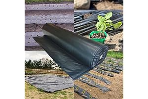 Excellent Weed Control for Gardens: 4 Mil Black Plastic Sheeting
