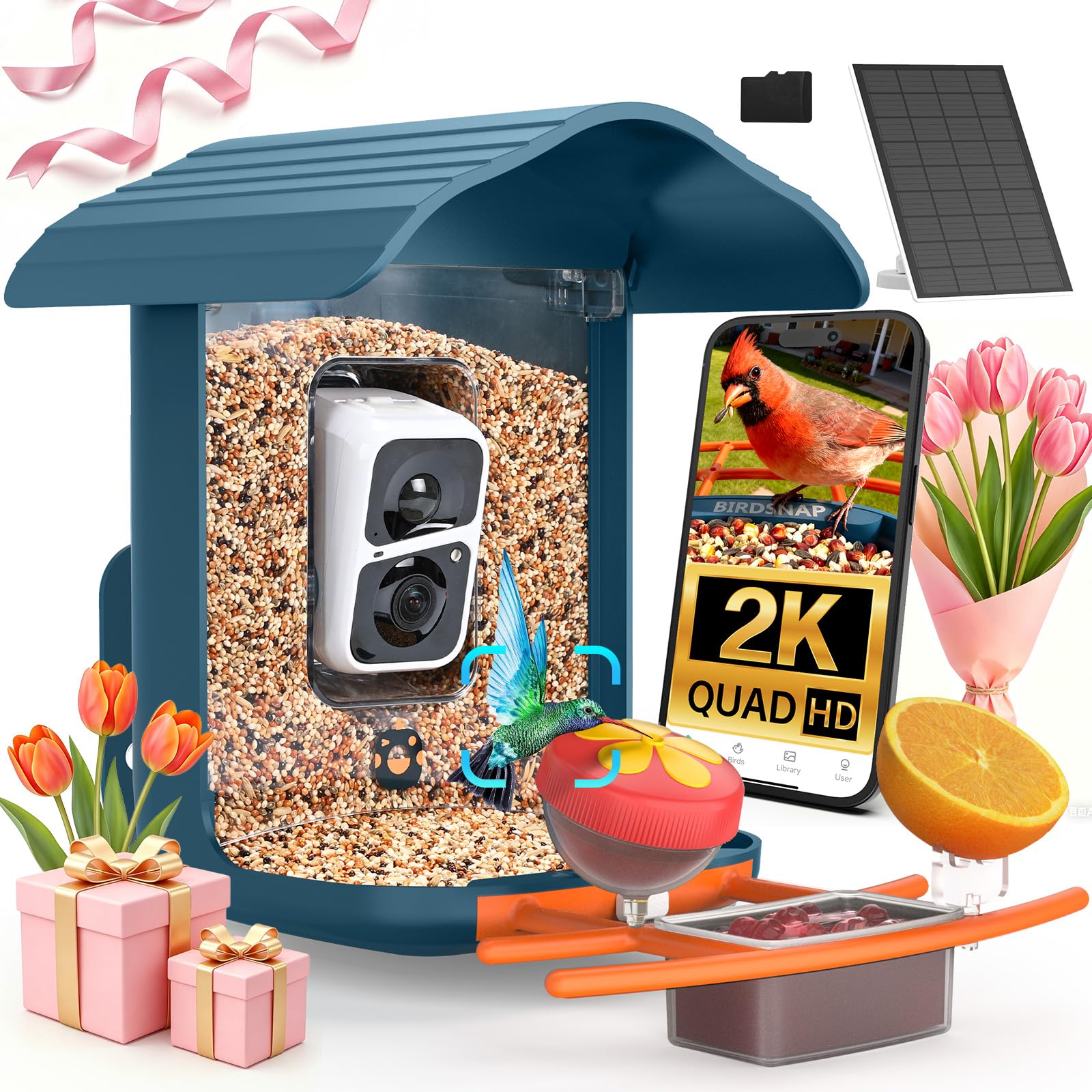 birdsnap PAV-Bird Feeder with Camera
