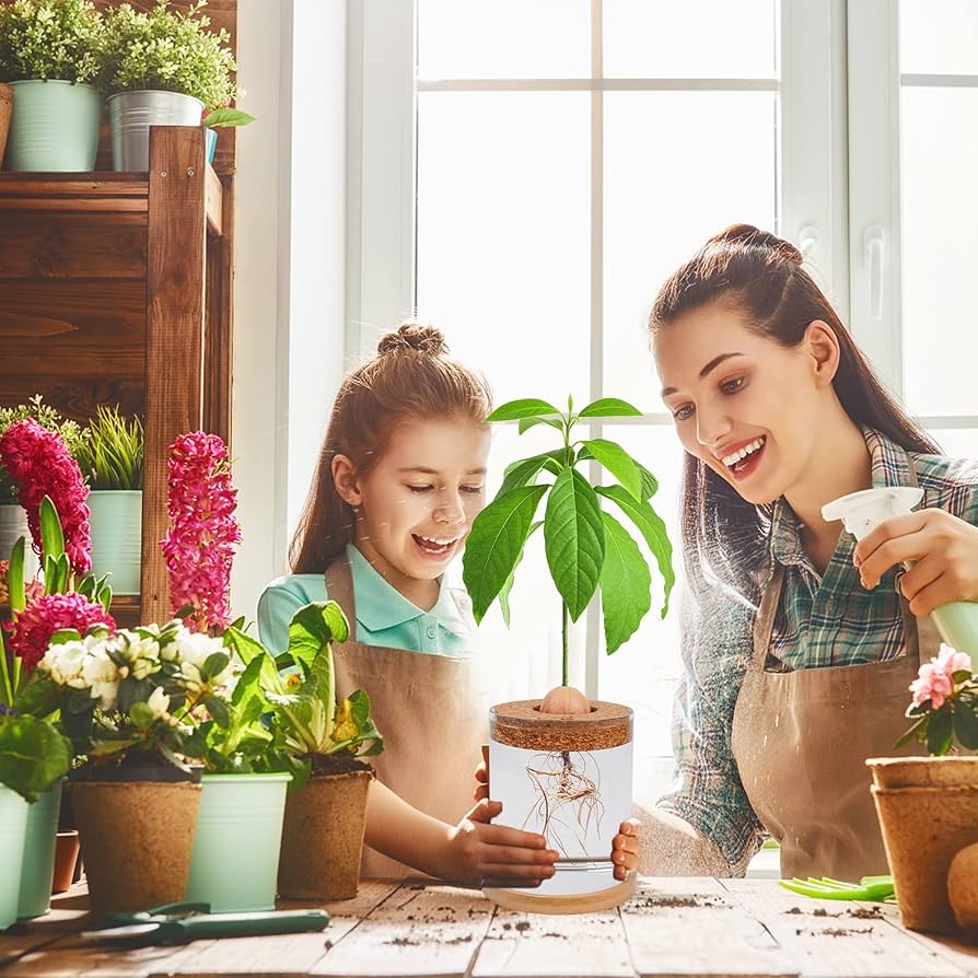 【アボカド】火鉢 アボカド】火鉢 新品の火鉢リスト｜一覧ページ