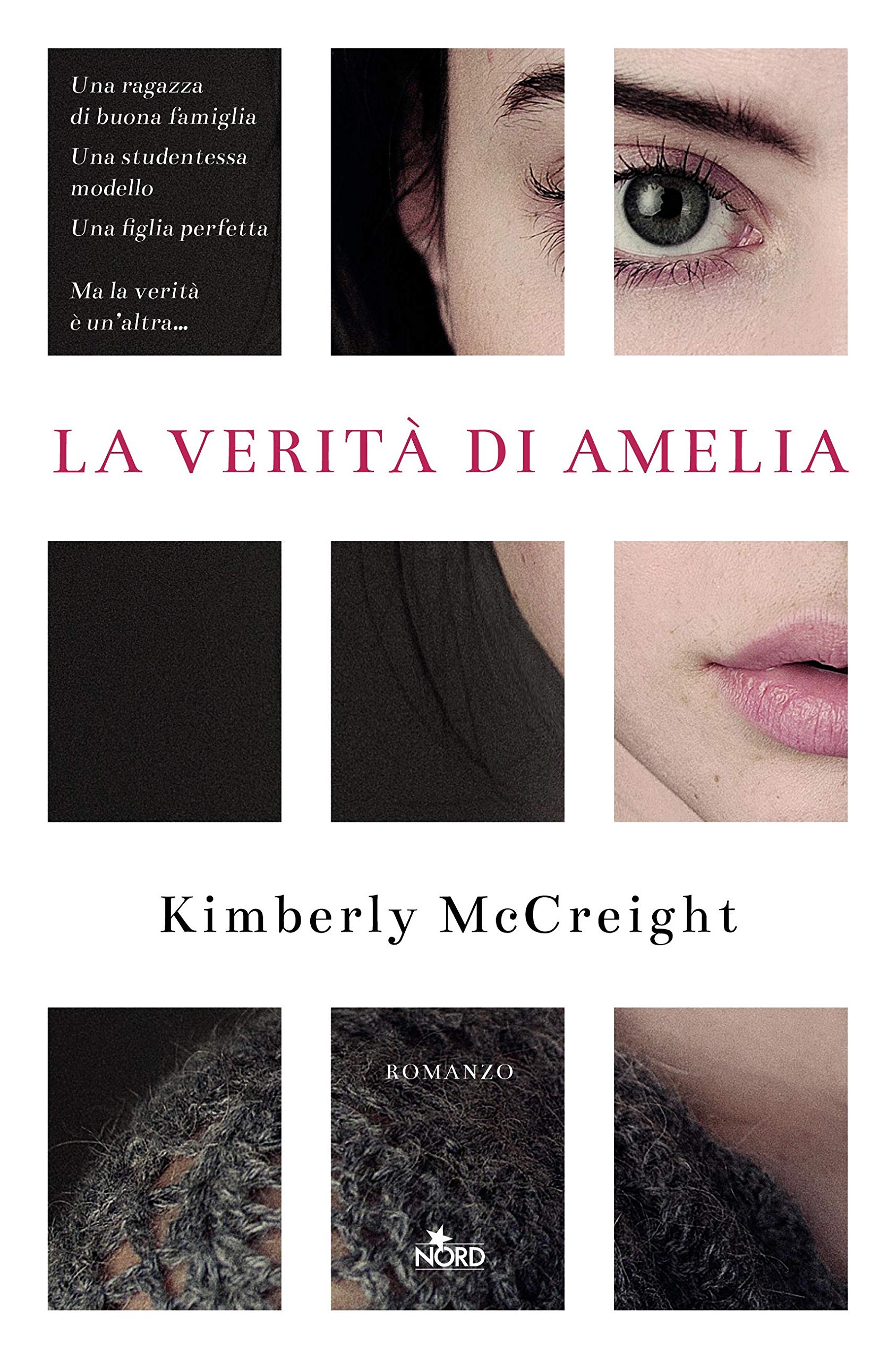 La verità di Amelia (Italian Edition)