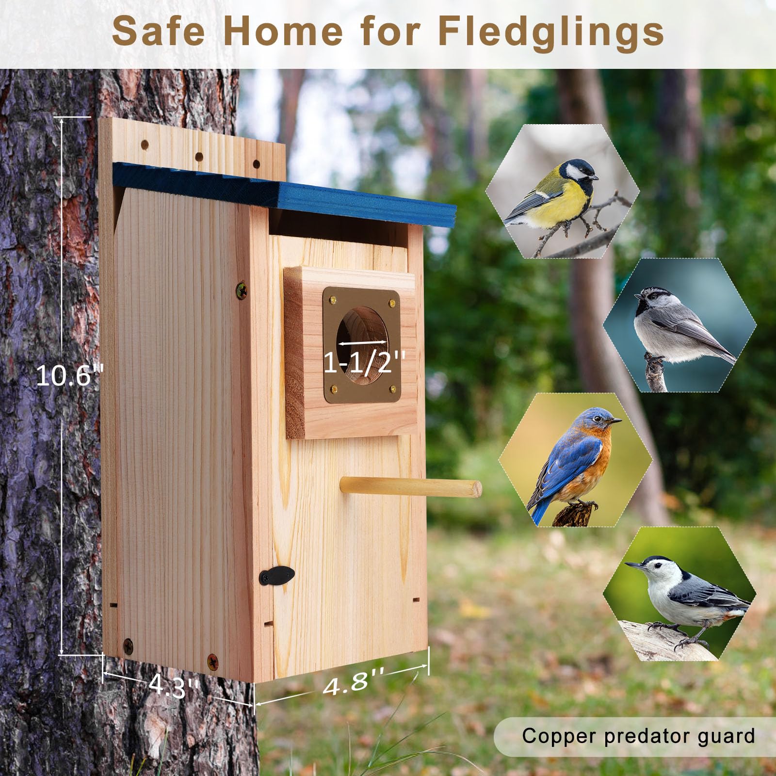 Casas para pájaros para exteriores, paquete de 2 con protector de cobre, espesar madera Bluebird House Liquidación Jardín casas de campo, caja anidadora para pinzones, golondrina, Wren, Chickadee Wild 4