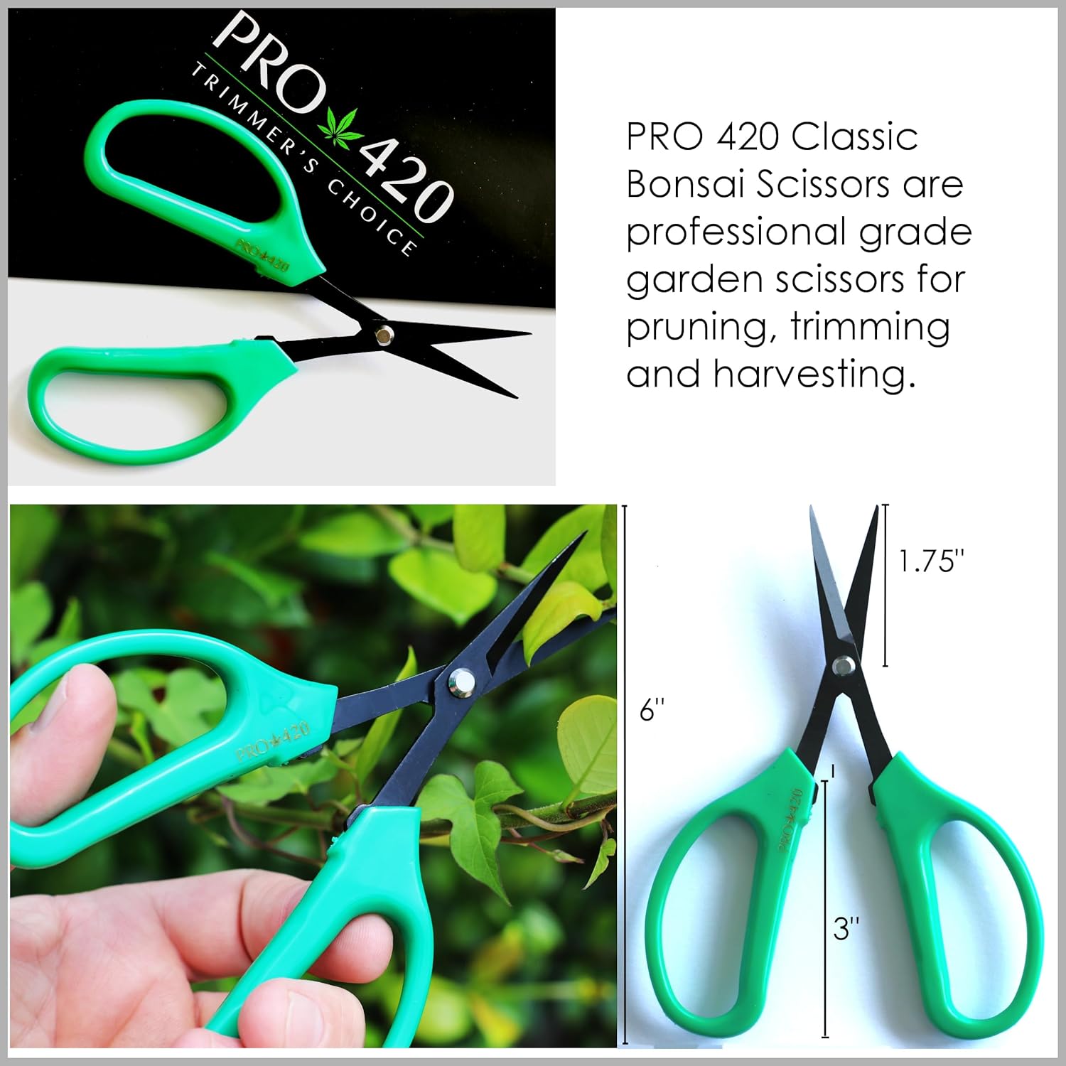 Bud Trimming Scissors by PRO 420 2 Pack Pruning Trimming Harvest