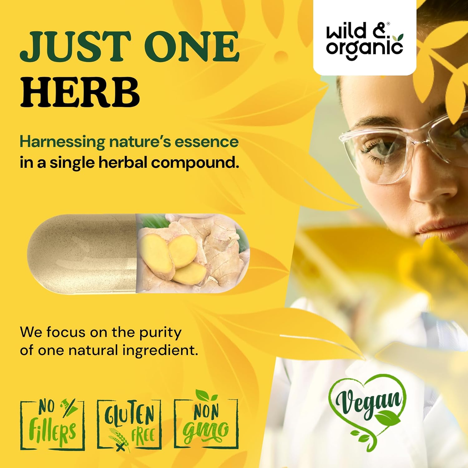 Wild & Organic Ginger Root Capsules 1200 mg - Immune & Digestive Support - Ginger Root Supplement - Zingiber Officinale Powder - 90 Days of Supply - Vegan, No Fillers, Non-GMO - 180 Count - Image 5