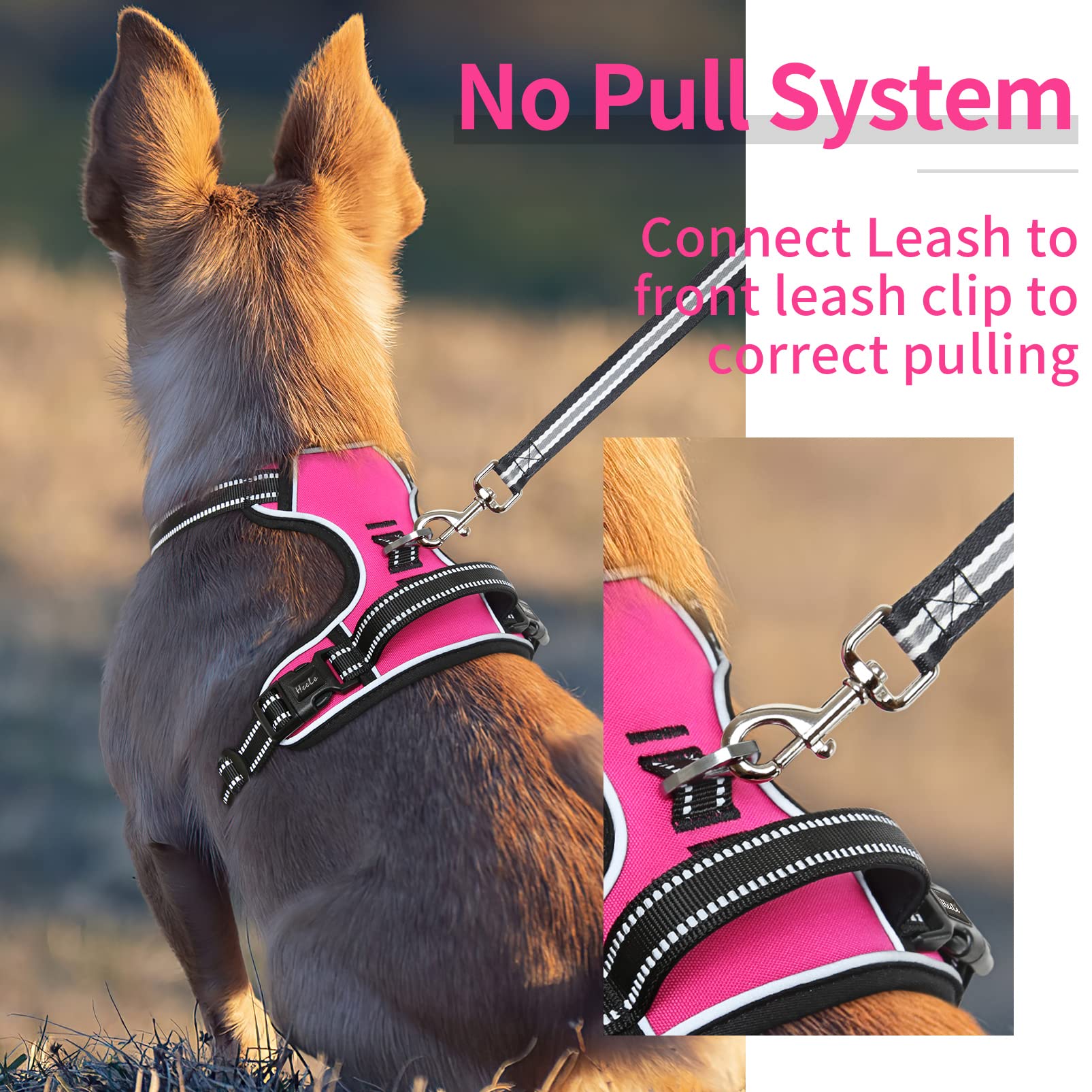 HEELE Pettorina per Cani No-pull Pettorina Cane con Manico Imbracatura Riflettente Traspirante, Robusta Pettorina Cane Taglia Piccola, per Camminare, Addestrare Le Passeggiate, Rosso Rosa, S