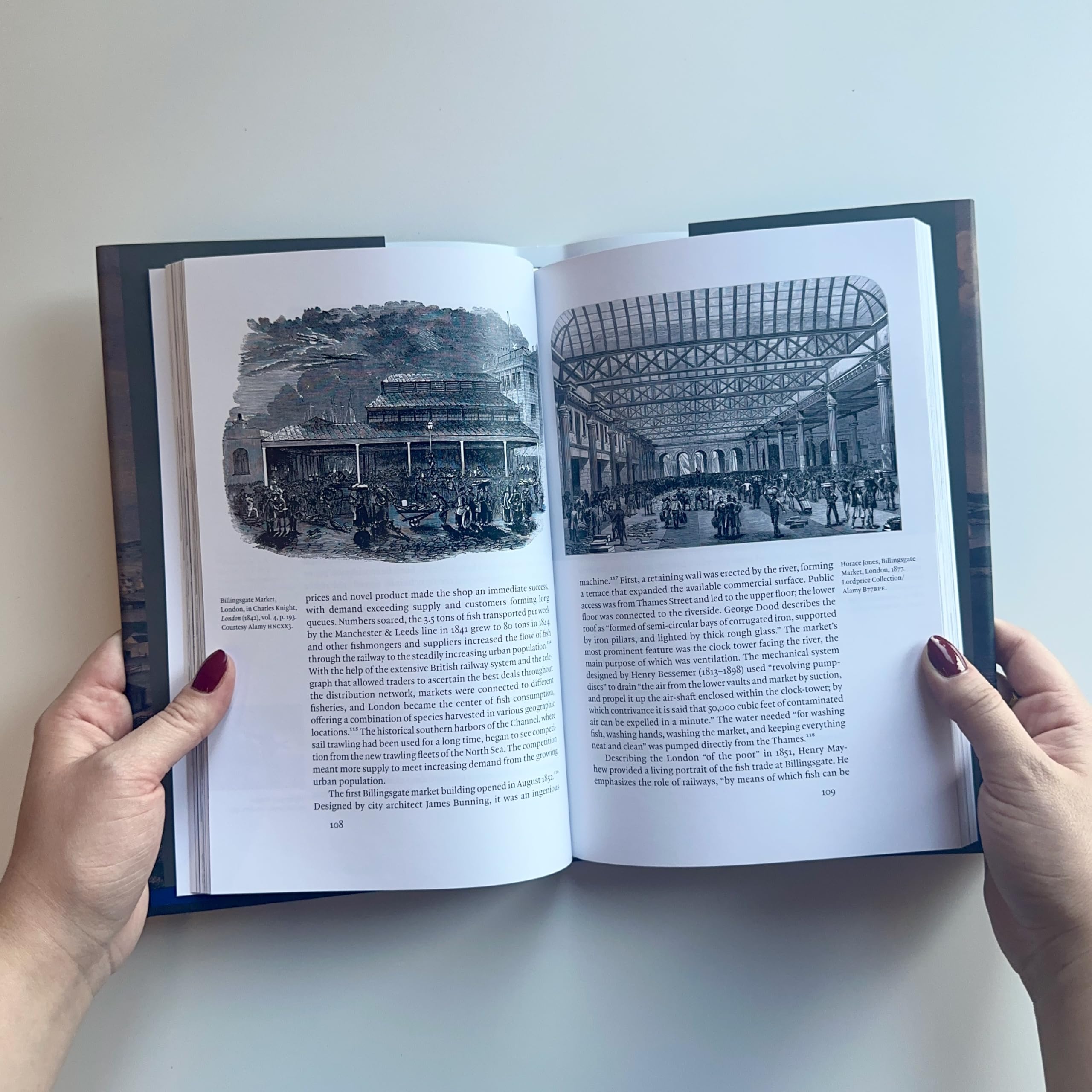 Architecture Follows Fish: An Amphibious History of the North Atlantic