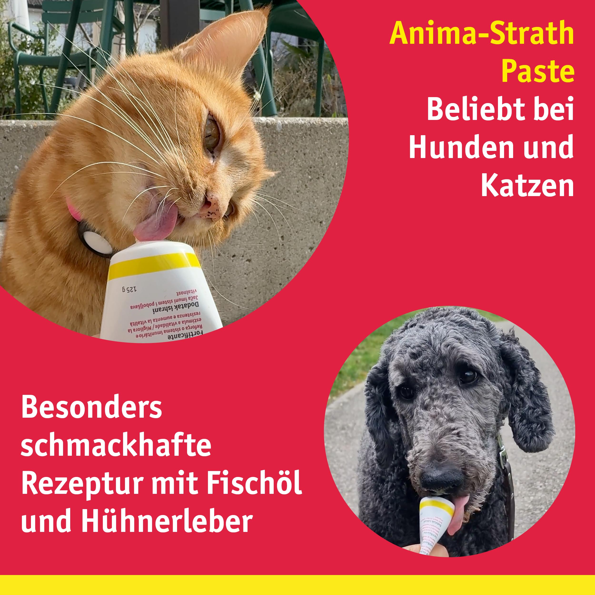 Anima Strath Paste für Katzen und Hunde - (125g) Ergänzungsfutter mit Kräuterhefe, 61 Mikronährstoffen Vitaminen & Mineralstoffen, tägliche Fütterung & Fellpflege