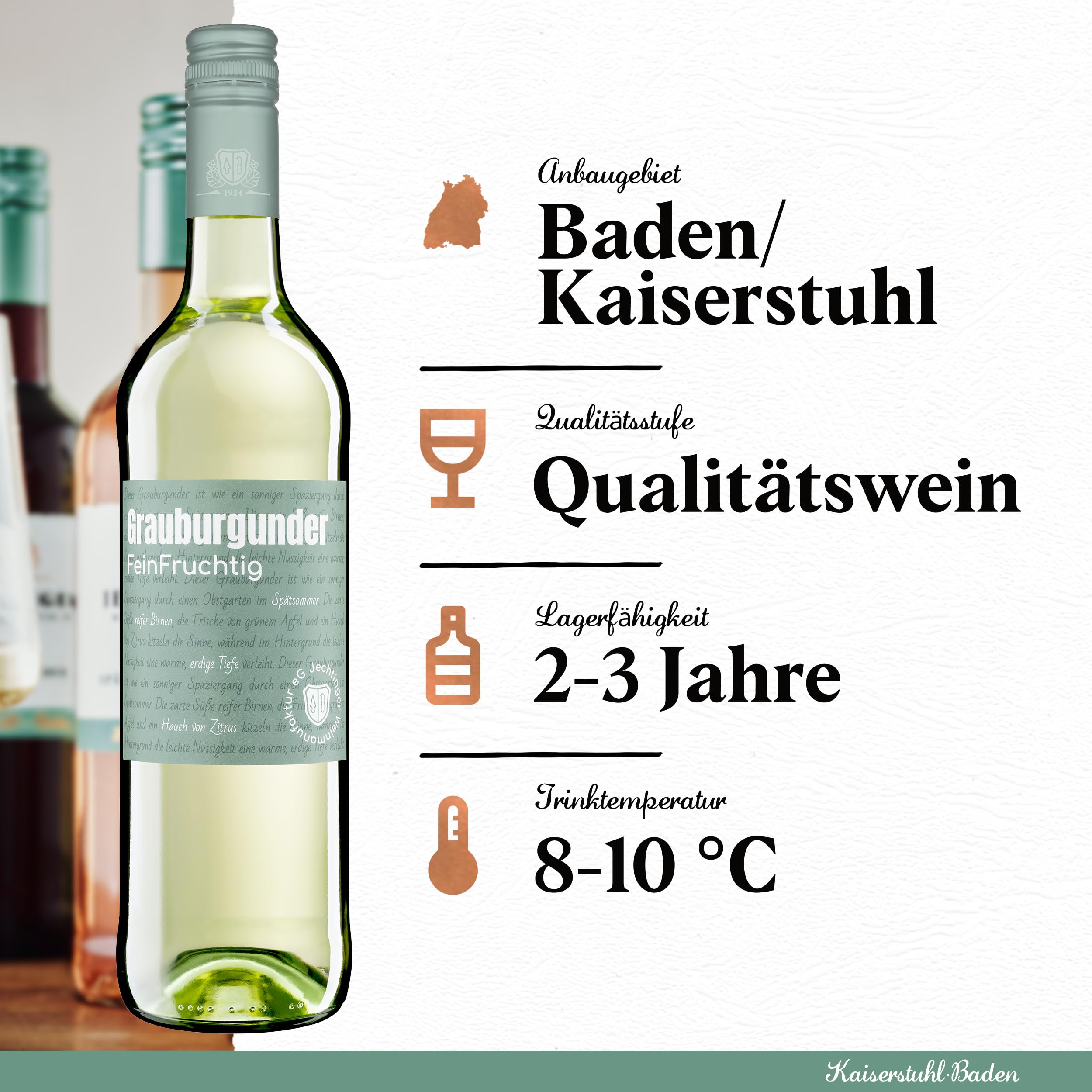 Jechtinger Grauburgunder FeinFruchtig - Weißwein fruchtig mit Birnen-, Pfirsich- & Zitrusaromen, frisch & harmonisch, Badischer Wein vom Kaiserstuhl (6 x 0,75l) (Packung mit 4)