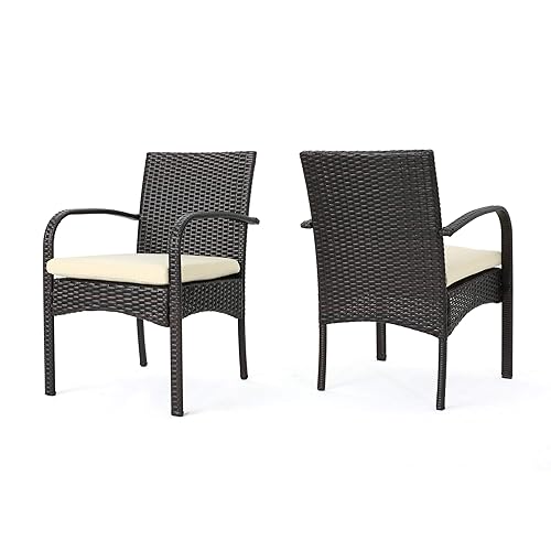 Christopher Knight Home Cordoba Outdoor PE Wicker Dining Chairs, 2-Pcs