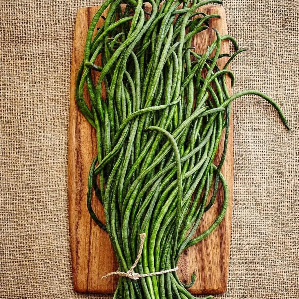 TomorrowSeeds - Yu Long Yard Long Bean Seeds - 30+ Count - for 2025 Planting Early Maturing Heirloom Pole Chinese Vegetable Vining Green Asian Cowpea Edamame Beans Grow Your Own Home Farm Patio