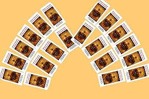 Surrender Novena Prayer Cards