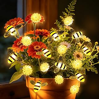Coquimbo String Lights Decor, 10ft 30 LED Battery Operated String Fairy ...