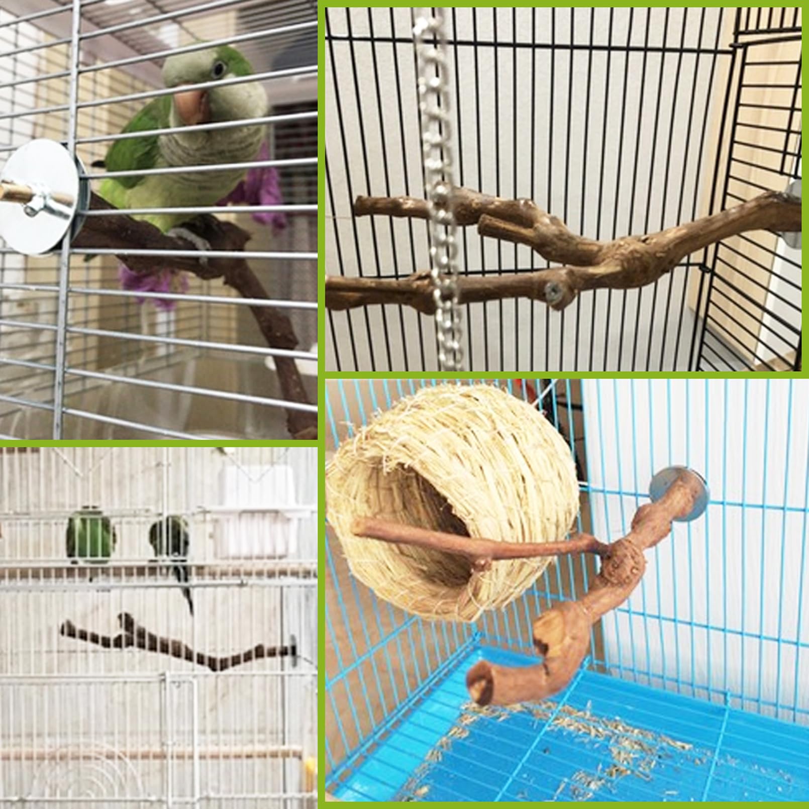 PINVNBY Percas para loros, soporte natural para pájaros, palo de uva salvaje, accesorios de jaula de madera y juguete para periquitos, tortolitos, periquitos, cacatúas y pinzones