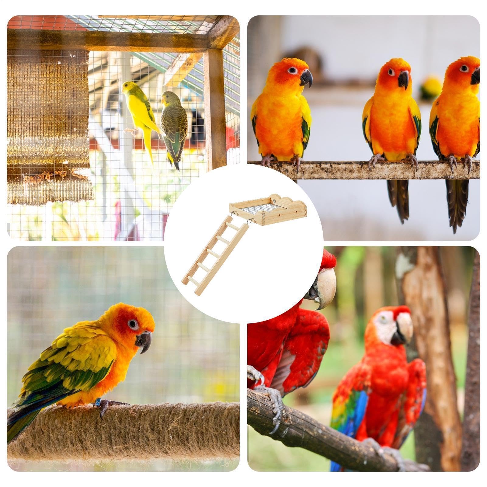 Générique Échelle pour Oiseaux en Bois Jouet avec Échelle d'Escalade